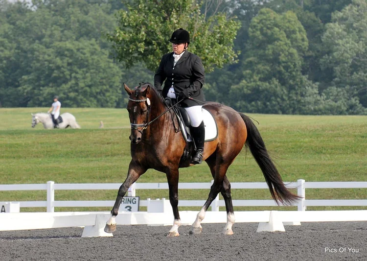 Claudia Kleinsmith in show attire on a brown dressage horse with a white blaze on its face, practicing dressage in an outdoor arena with white fences and green trees in the background.