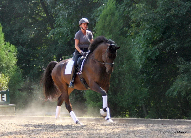 A female rider in gray shirt and helmet riding a brown horse with white leg wraps at a trot on an outdoor dressage arena in Baltimore County Maryland.