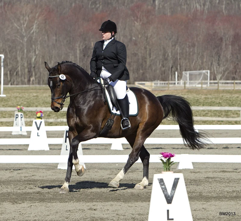 A female equestrian riding a dark brown horse in a dressage arena, marked with white cones and flowers, during a competition.