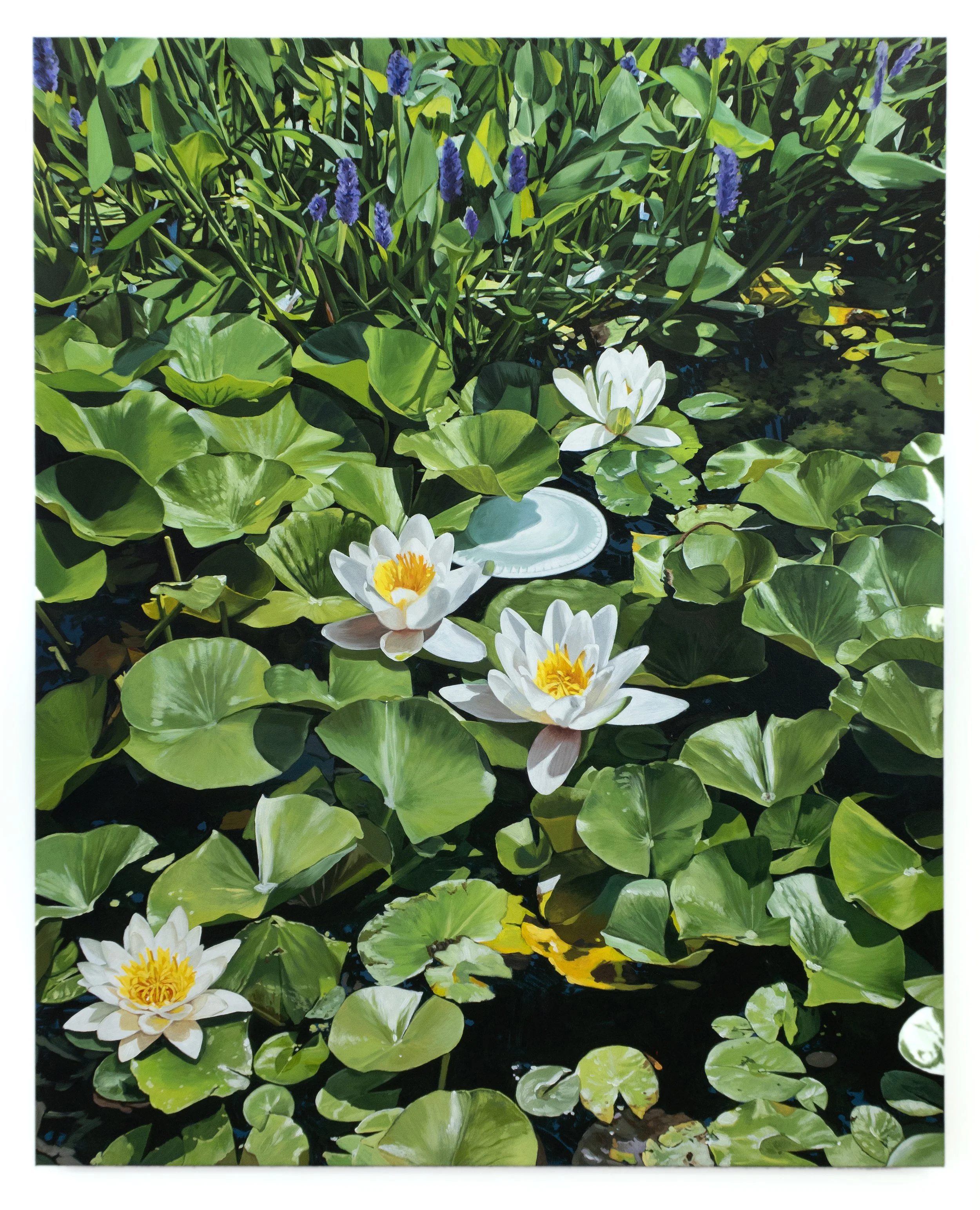 Water Lilies, Fox Creek.jpg