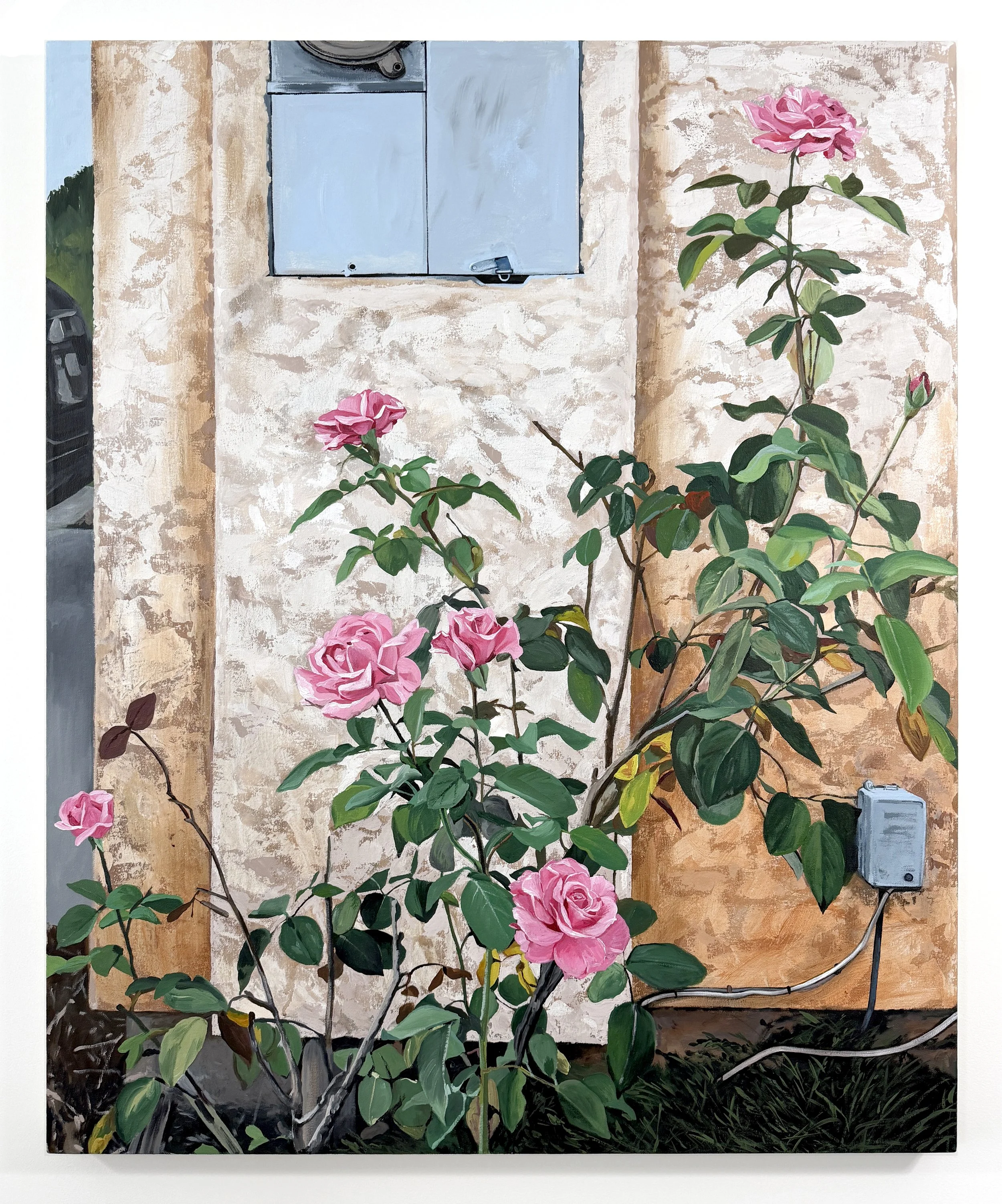 moms roses.jpg