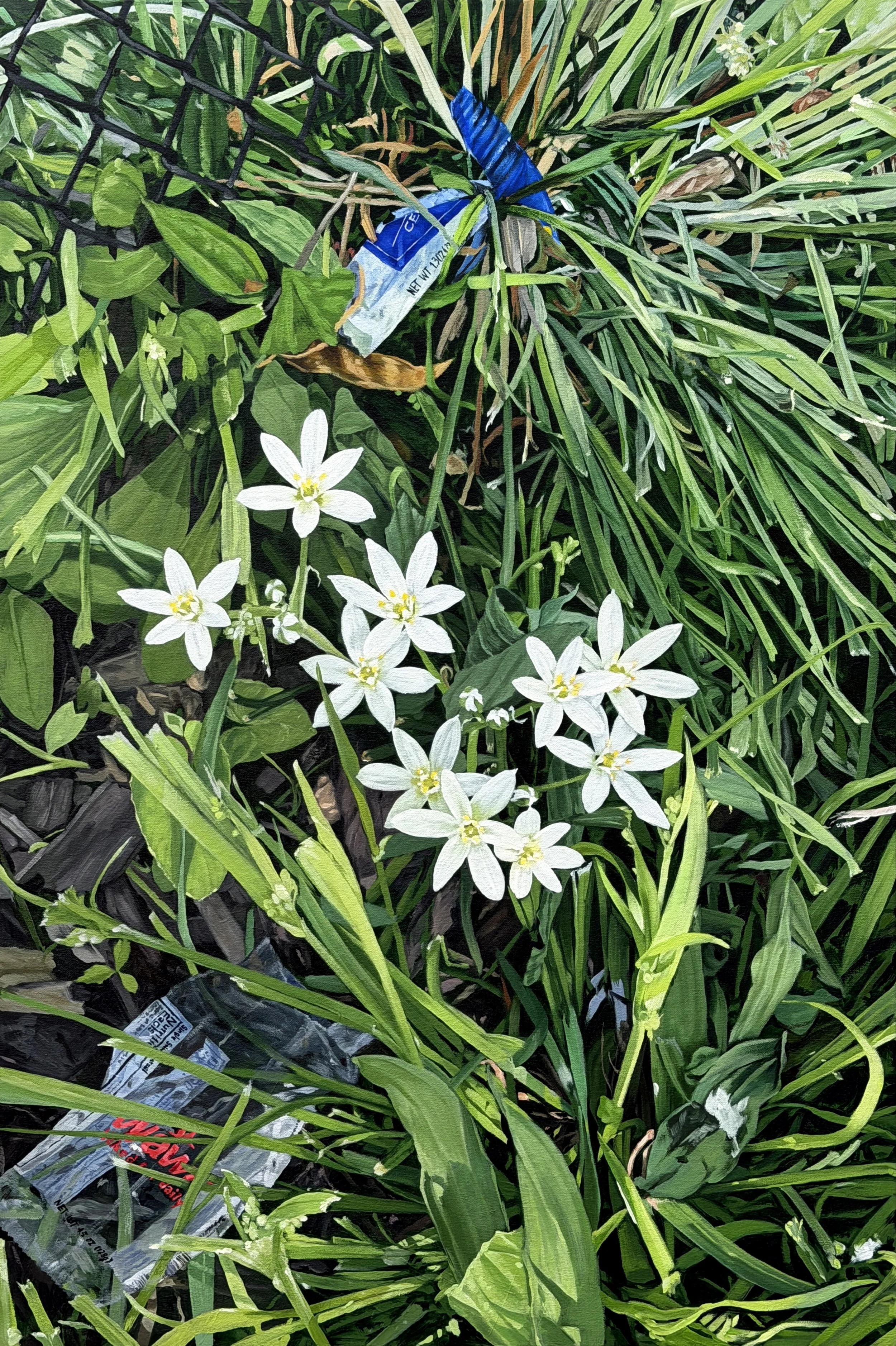 grass lily 2.jpg