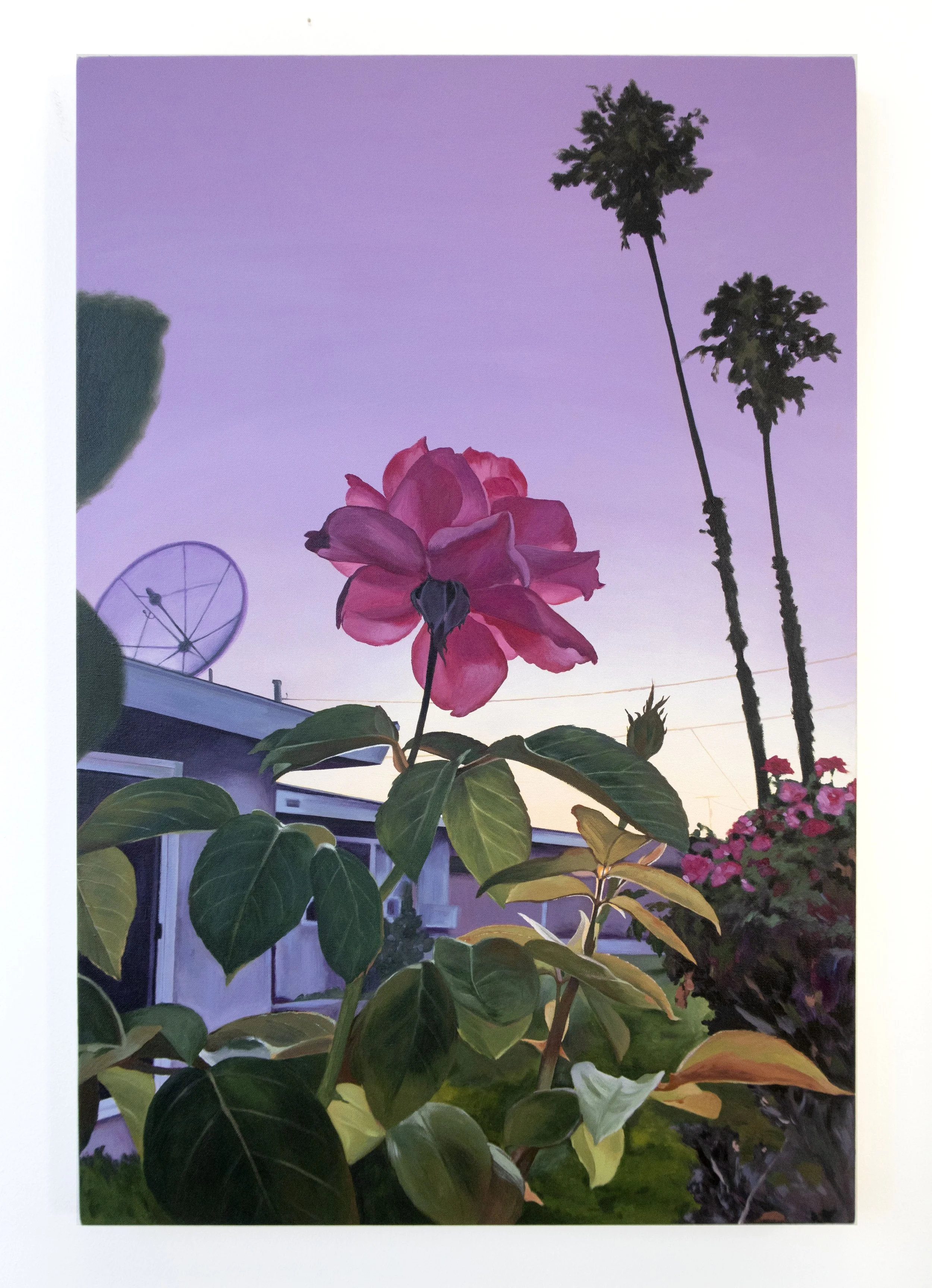 a rose in el monte.jpg