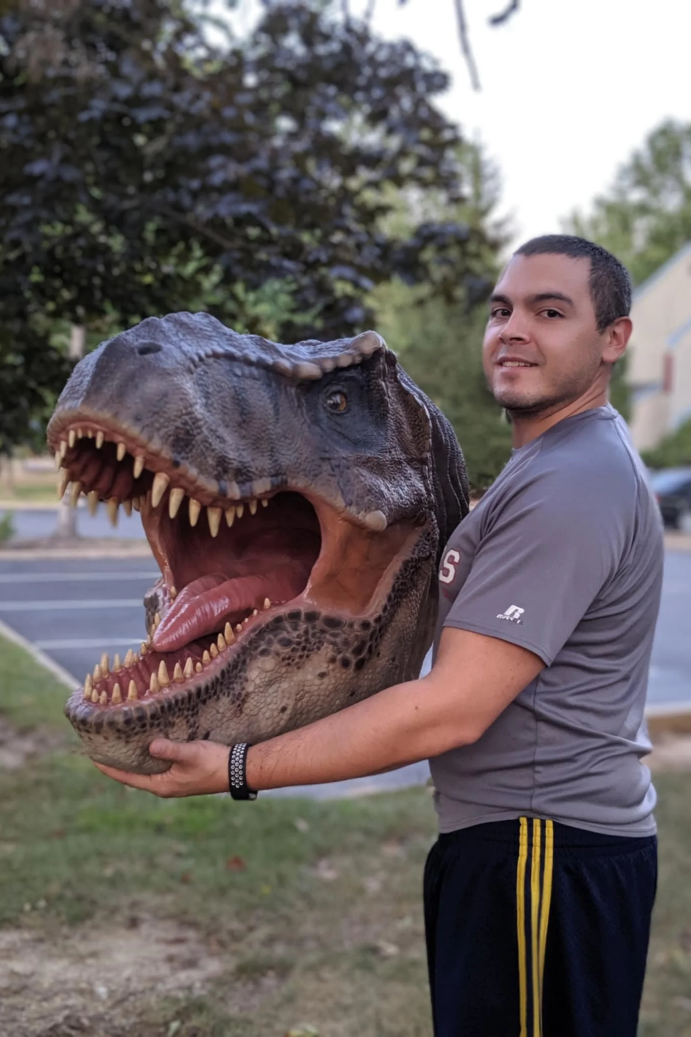 T-Rex Bust