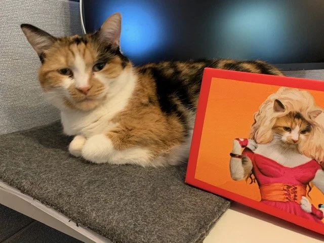 A calico cat lying on a gray surface next to a colorful painting of a woman with long blonde hair wearing a pink dress and holding a leash.