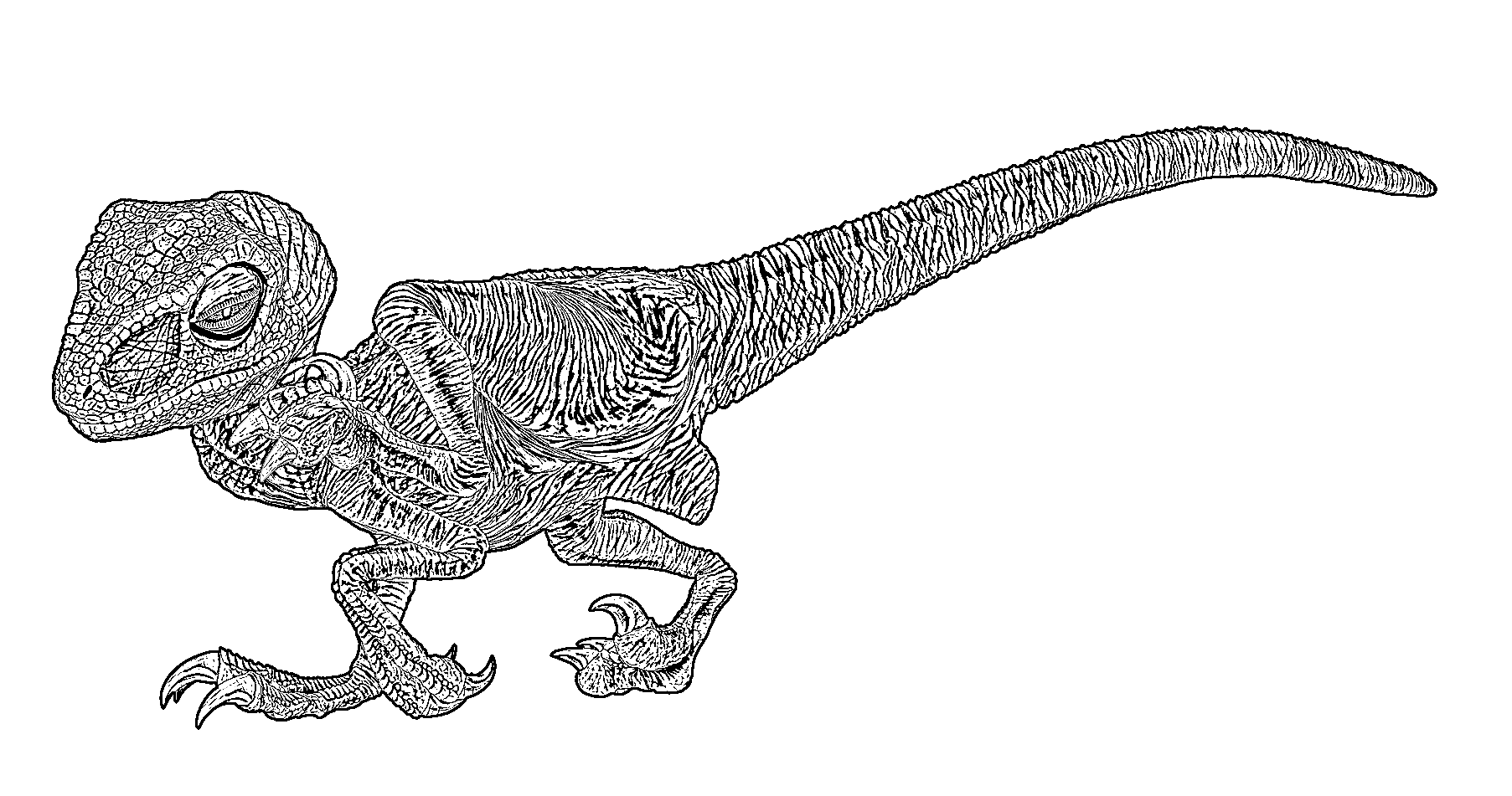 A black and white illustration of a dinosaur, likely a baby Velociraptor, with detailed scales and sharp claws.