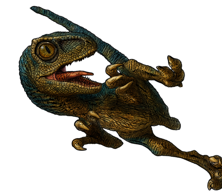 A digitally illustrated baby velociraptor