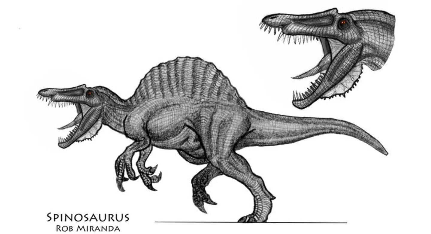 Illustration of a Spinosaurus dinosaur with detailed wireframe design, showing its large sail, elongated body, and crocodile-like head.