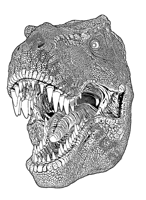 Black and white illustration of a Tyrannosaurus rex dinosaur head with sharp teeth and textured skin, mouth open.