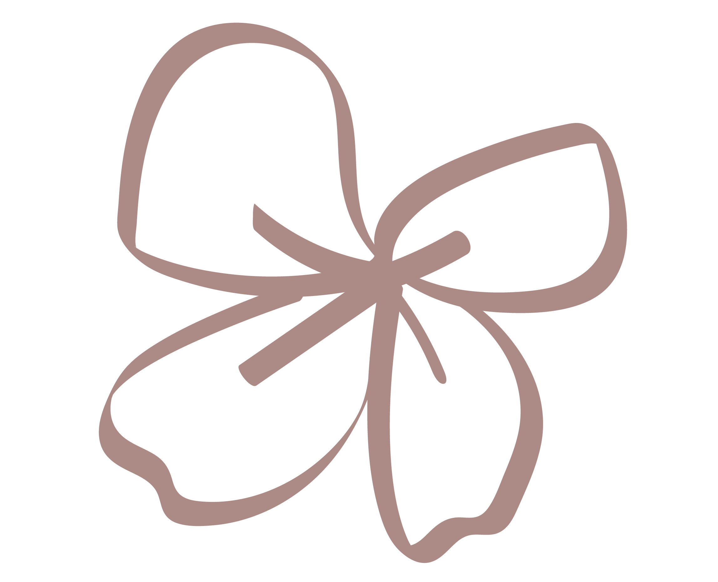 Outline drawing of a fireweed bloom.