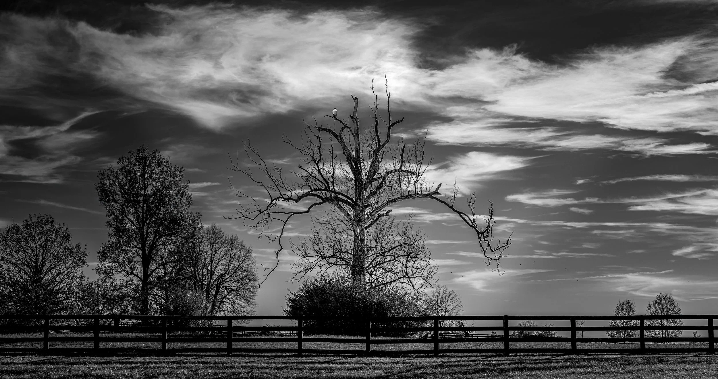 _7R56971-Edit-2-Edit.jpg