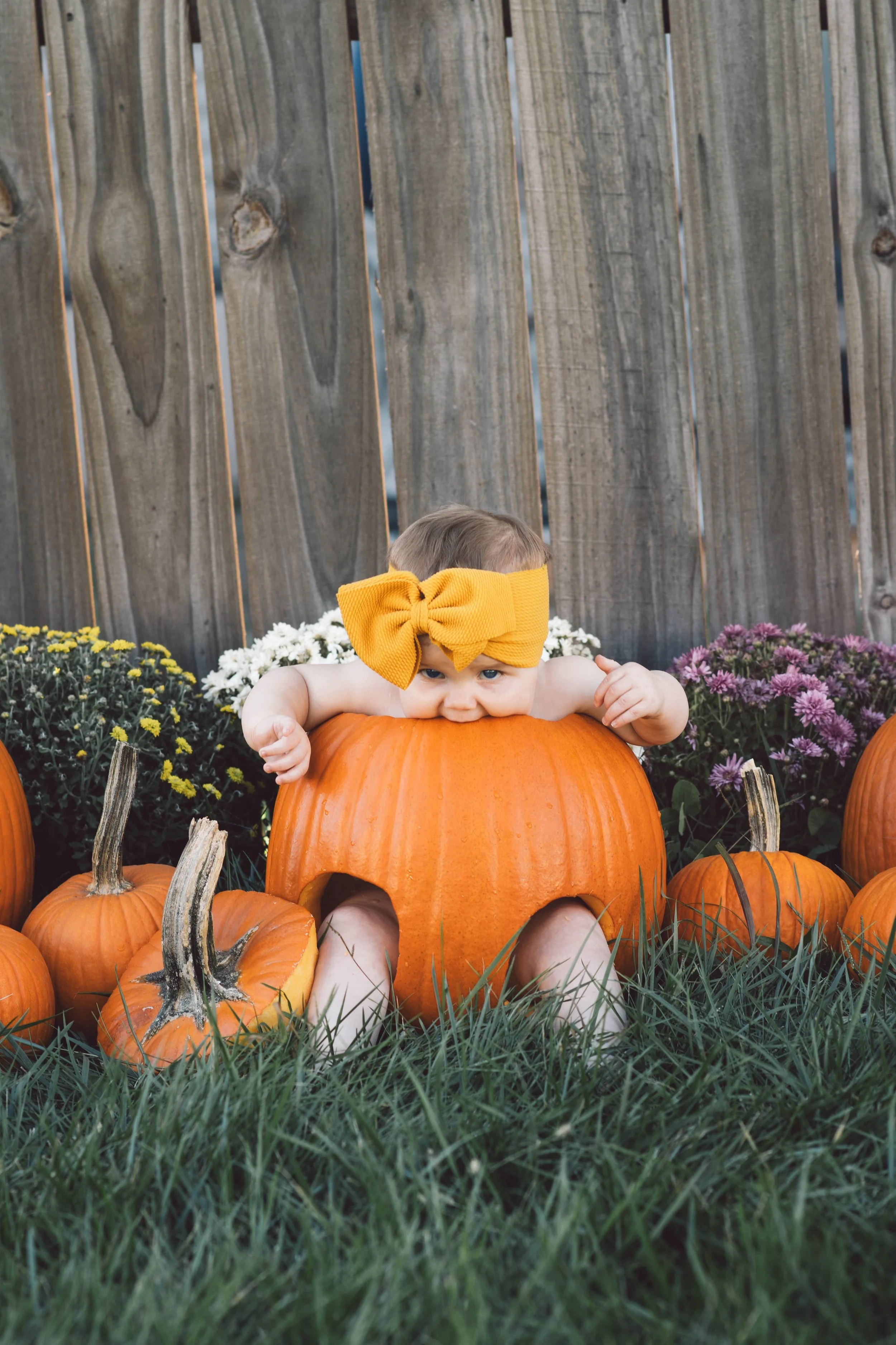 Milestone + Mini Sessions