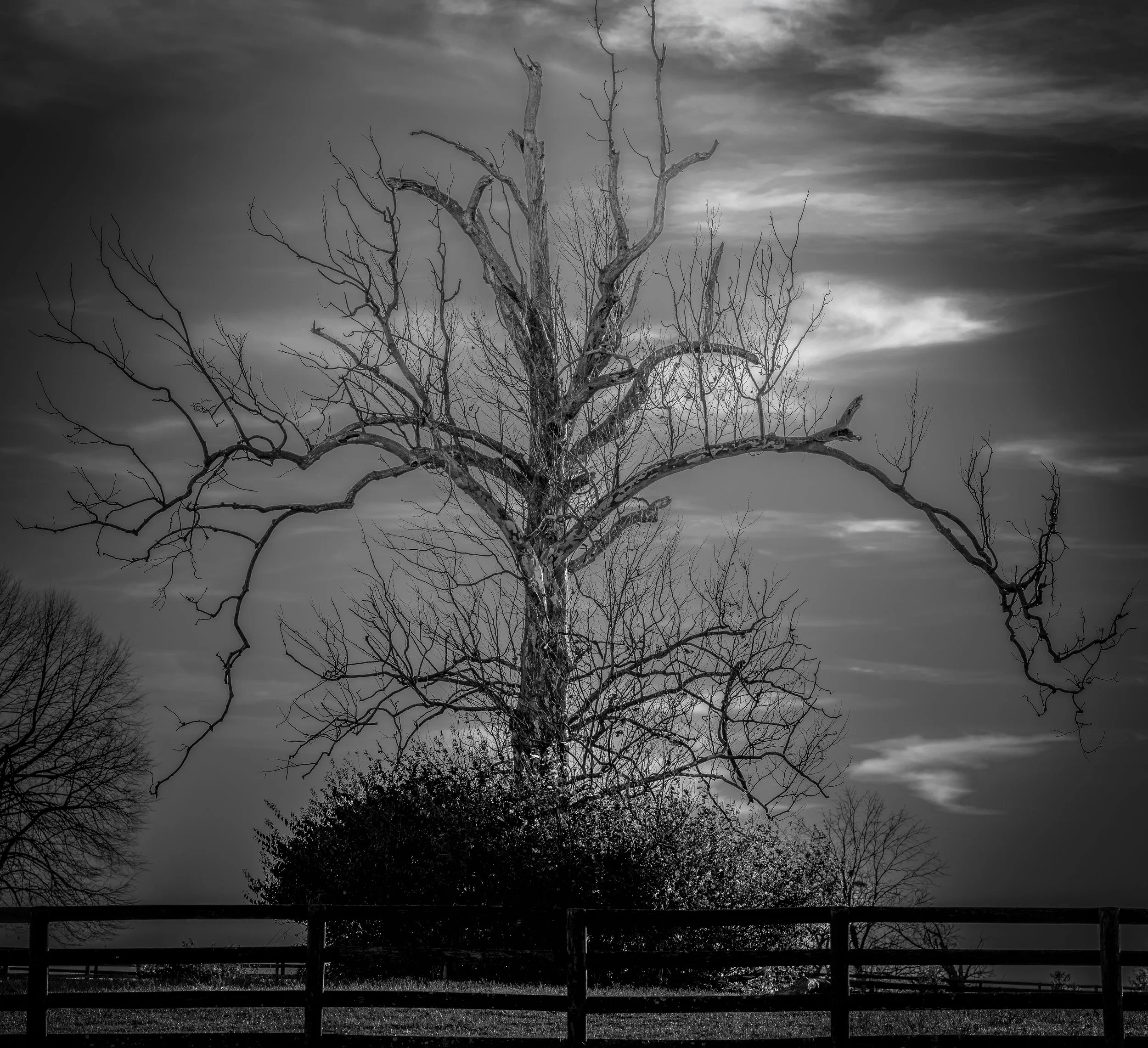 _7R56975-Edit.jpg