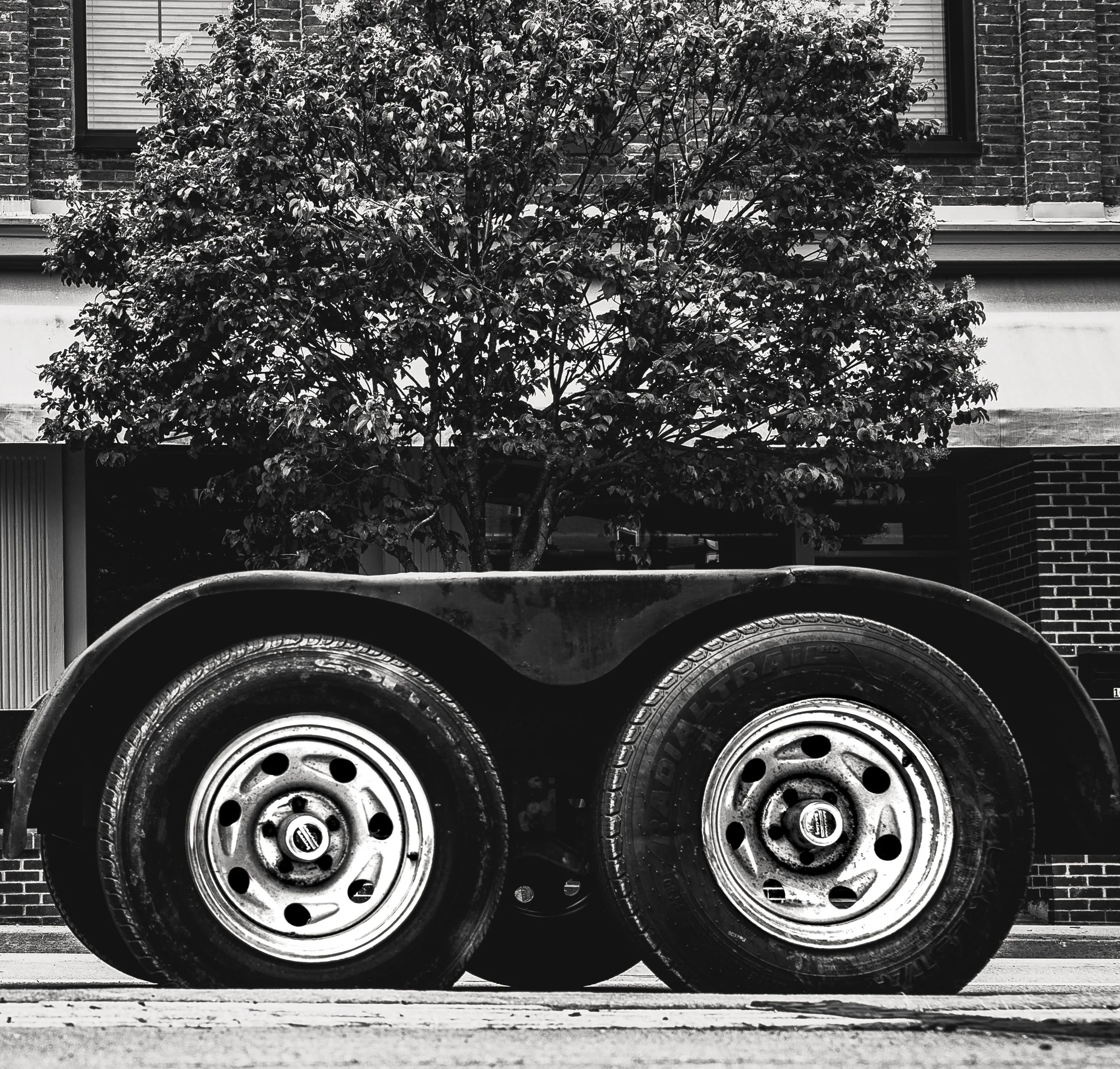 _7R52666.jpg