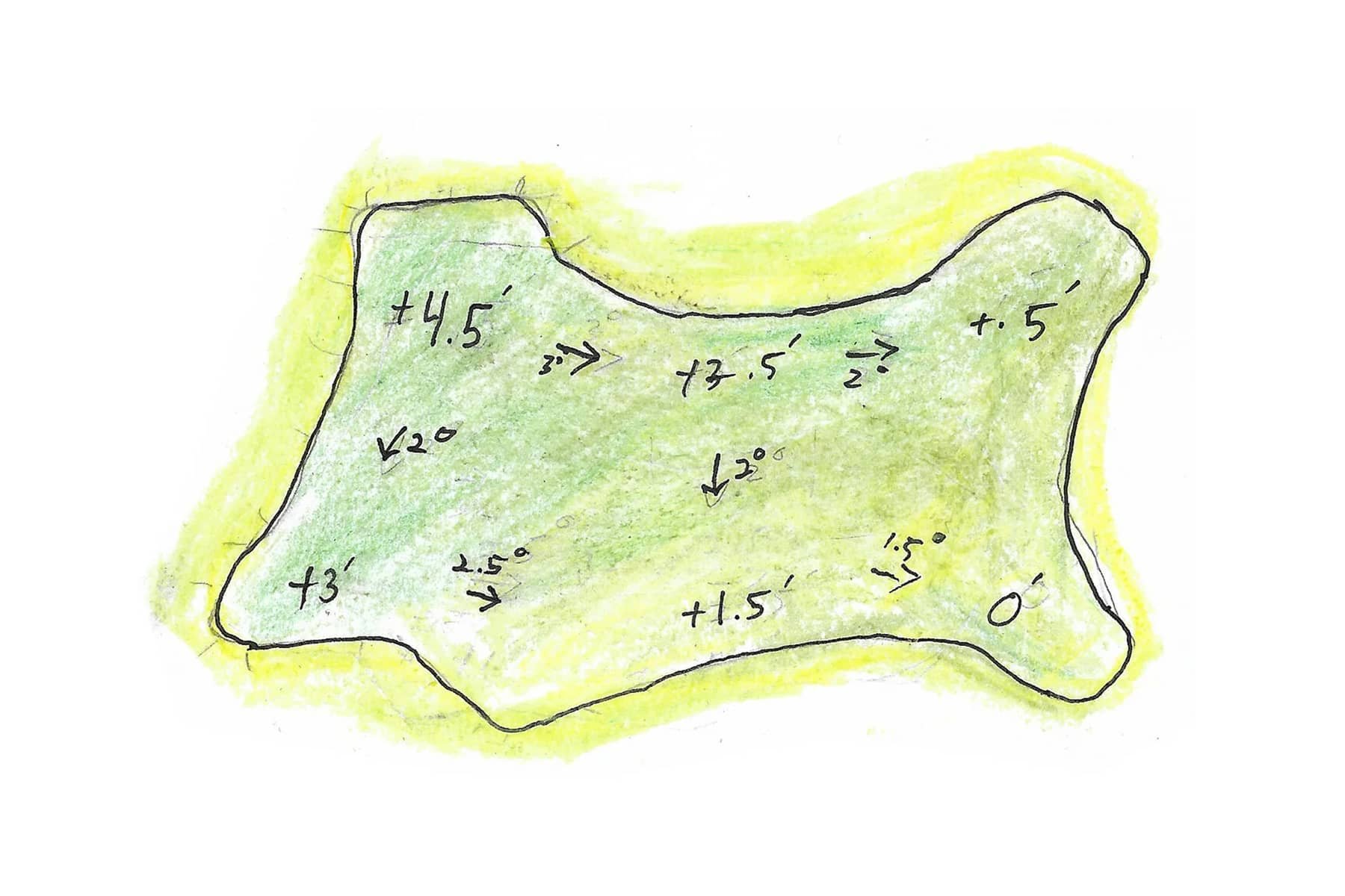 Lido Competition | Green