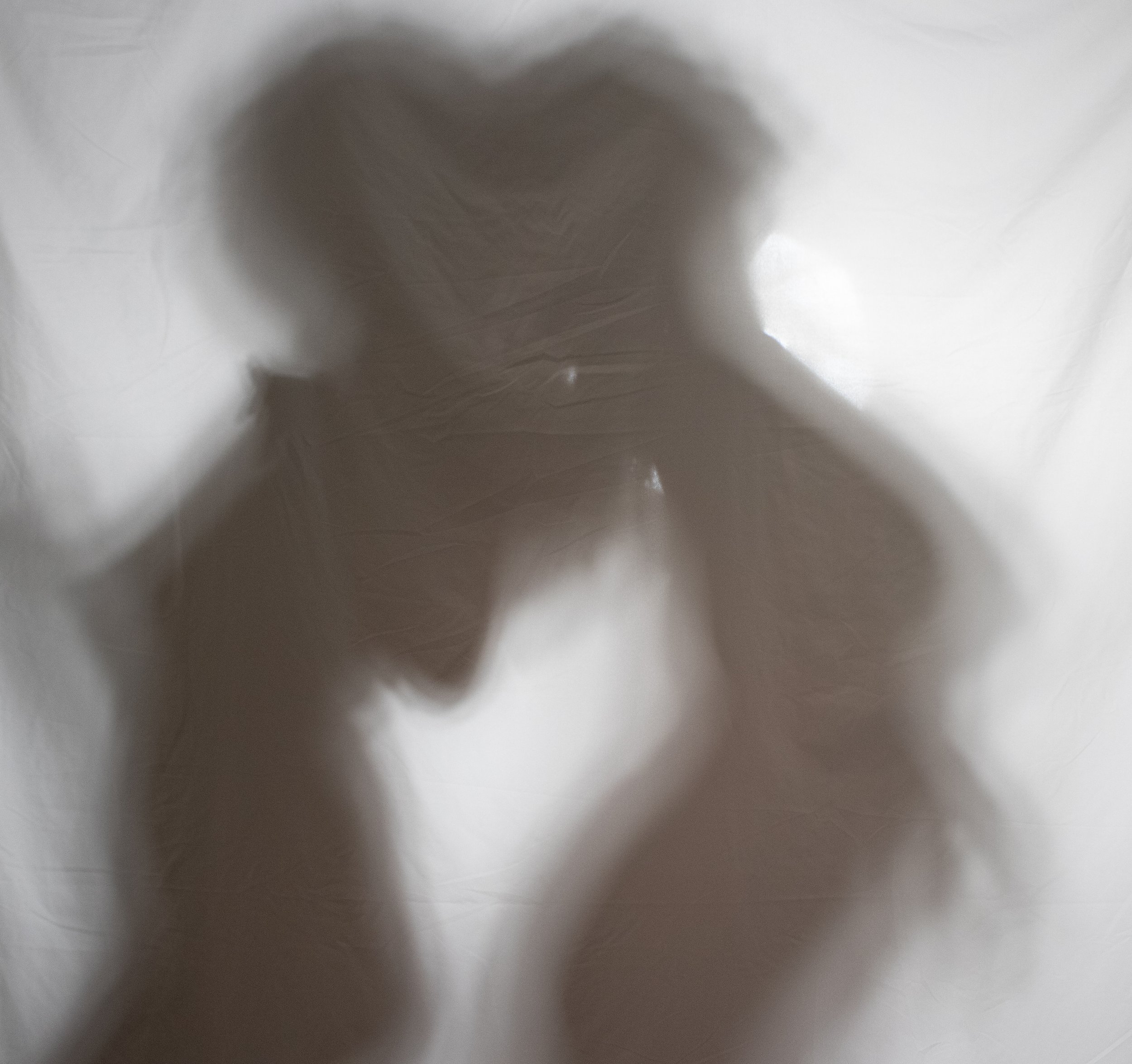 shadow puppet 2.jpg