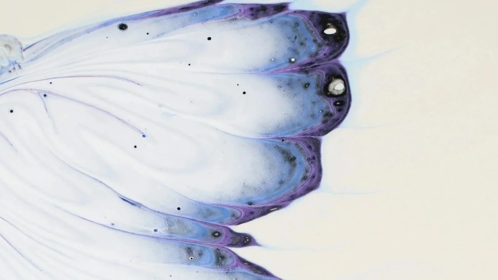 Change vs. Transformation: The Chrysalis Delusion