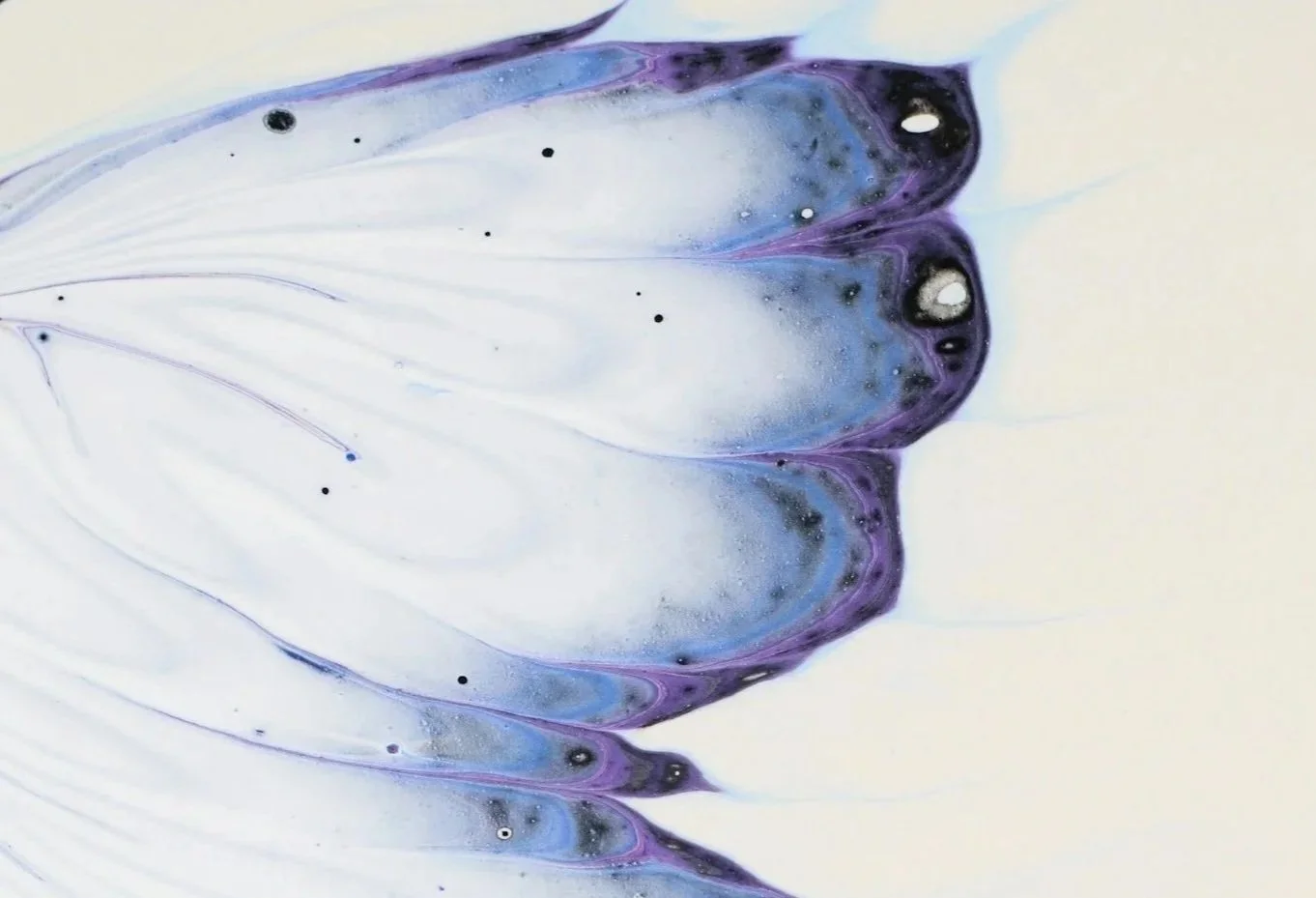 Change vs. Transformation: The Chrysalis Delusion