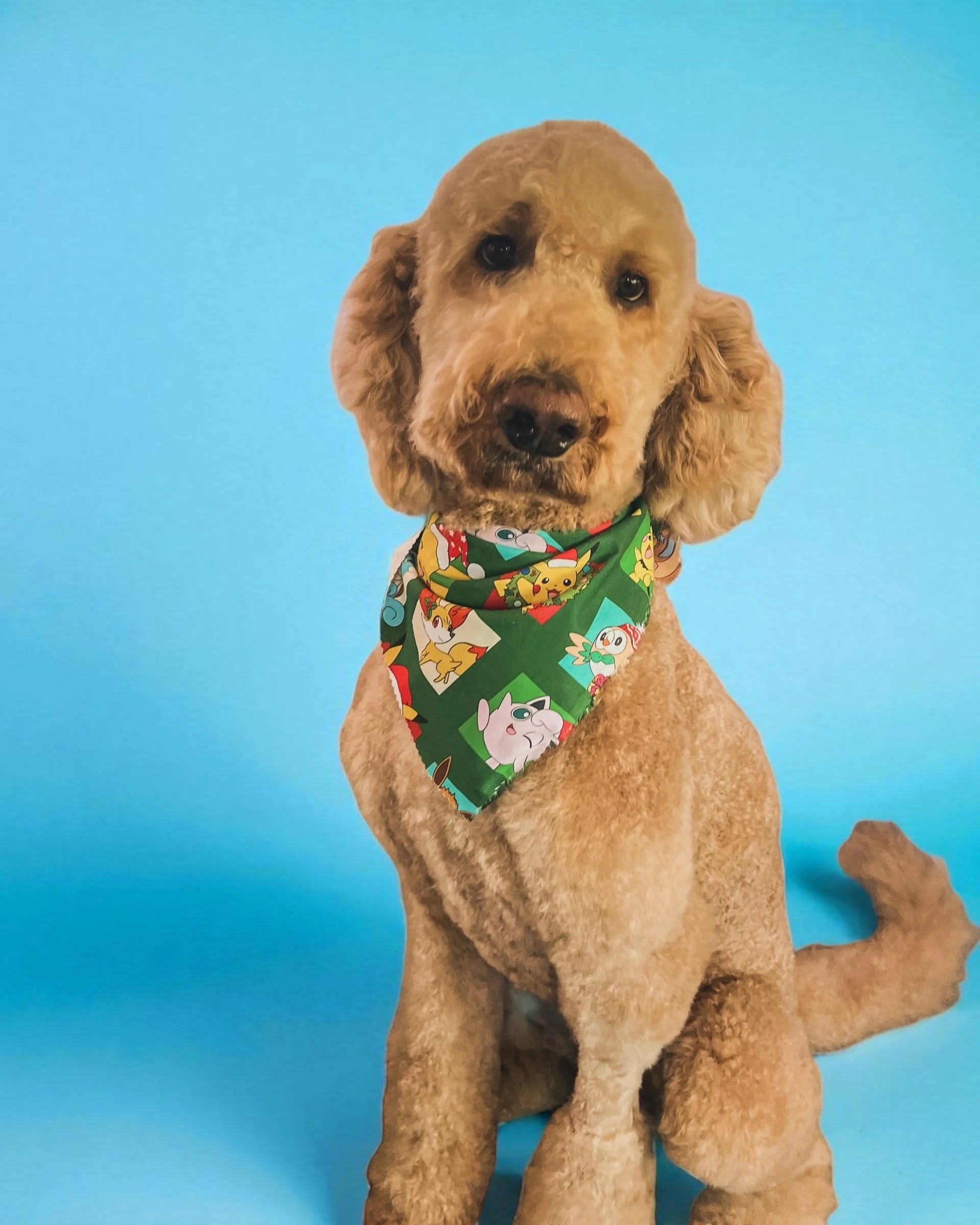 A cute dog with curly tan fur wearing a colorful bandana with Pokémon characters against a light blue background.