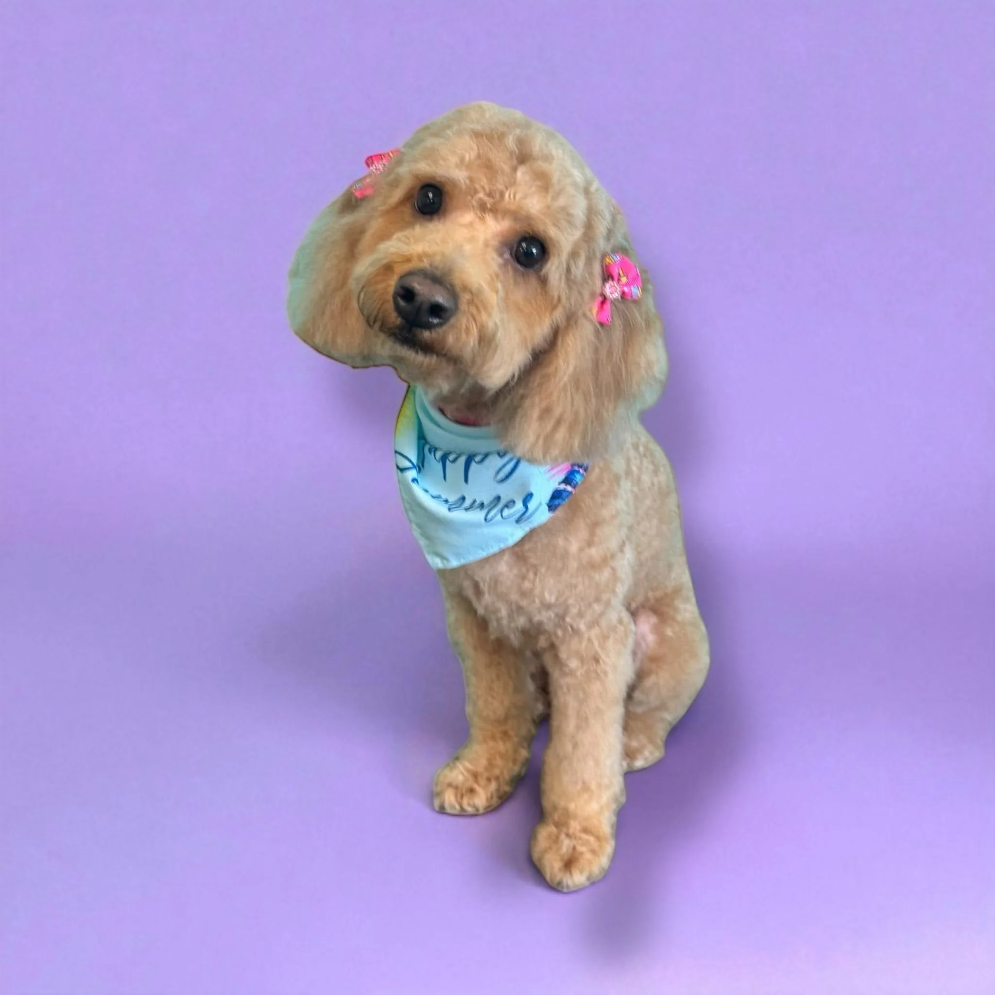 Short teddy bear with slightly longer legs 