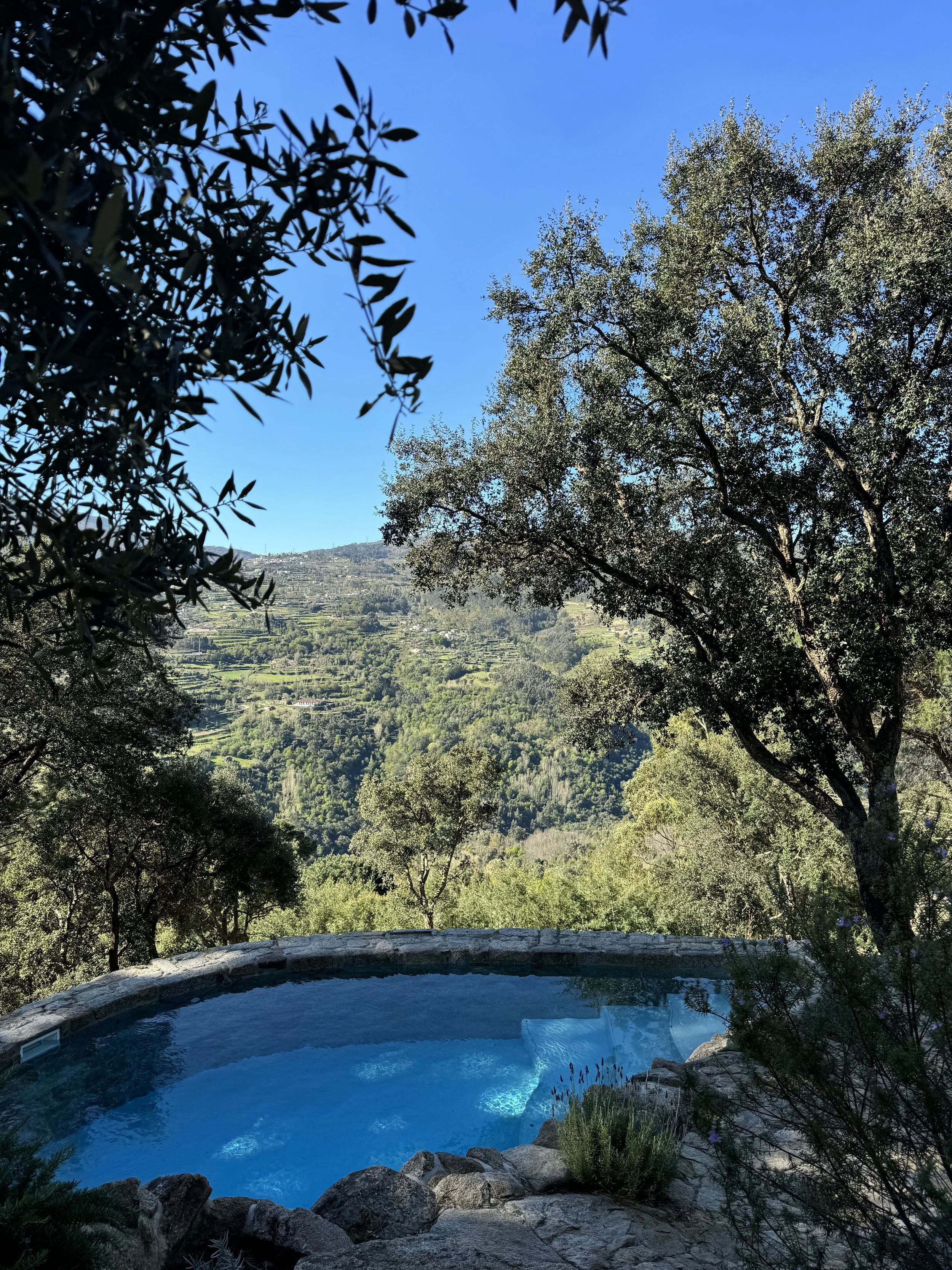 Natural Salt Water Pool