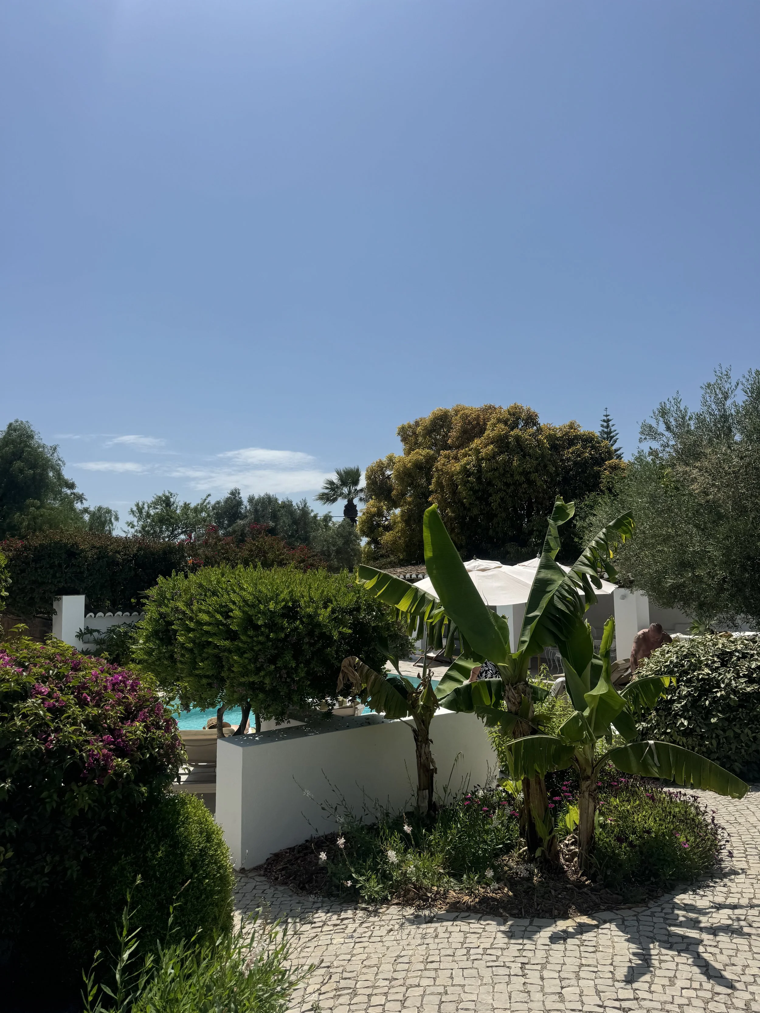 IMG_7485.jpeg