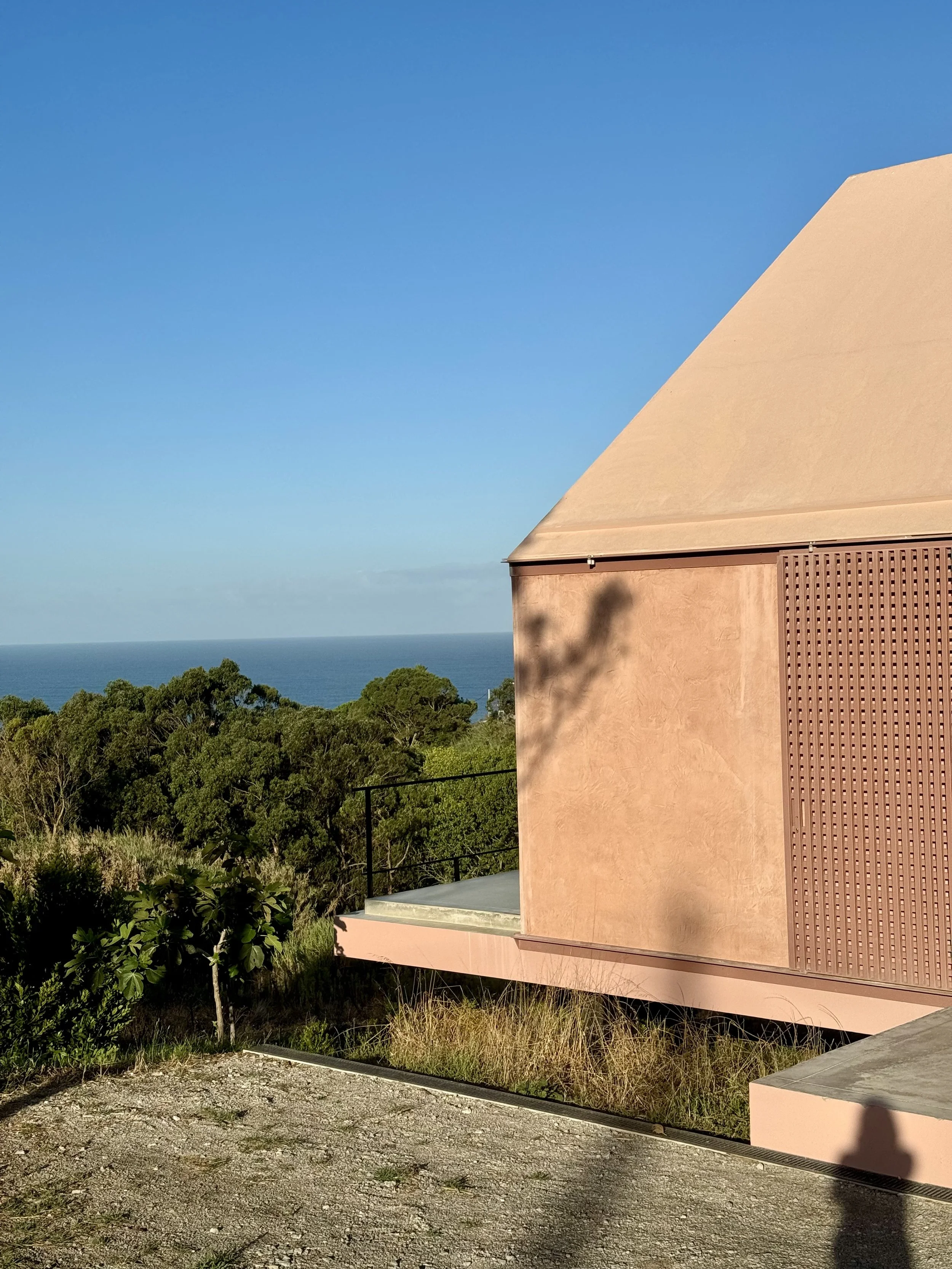 Modern pink building with a sloped roof, overlooking a forest and the ocean on a clear day.