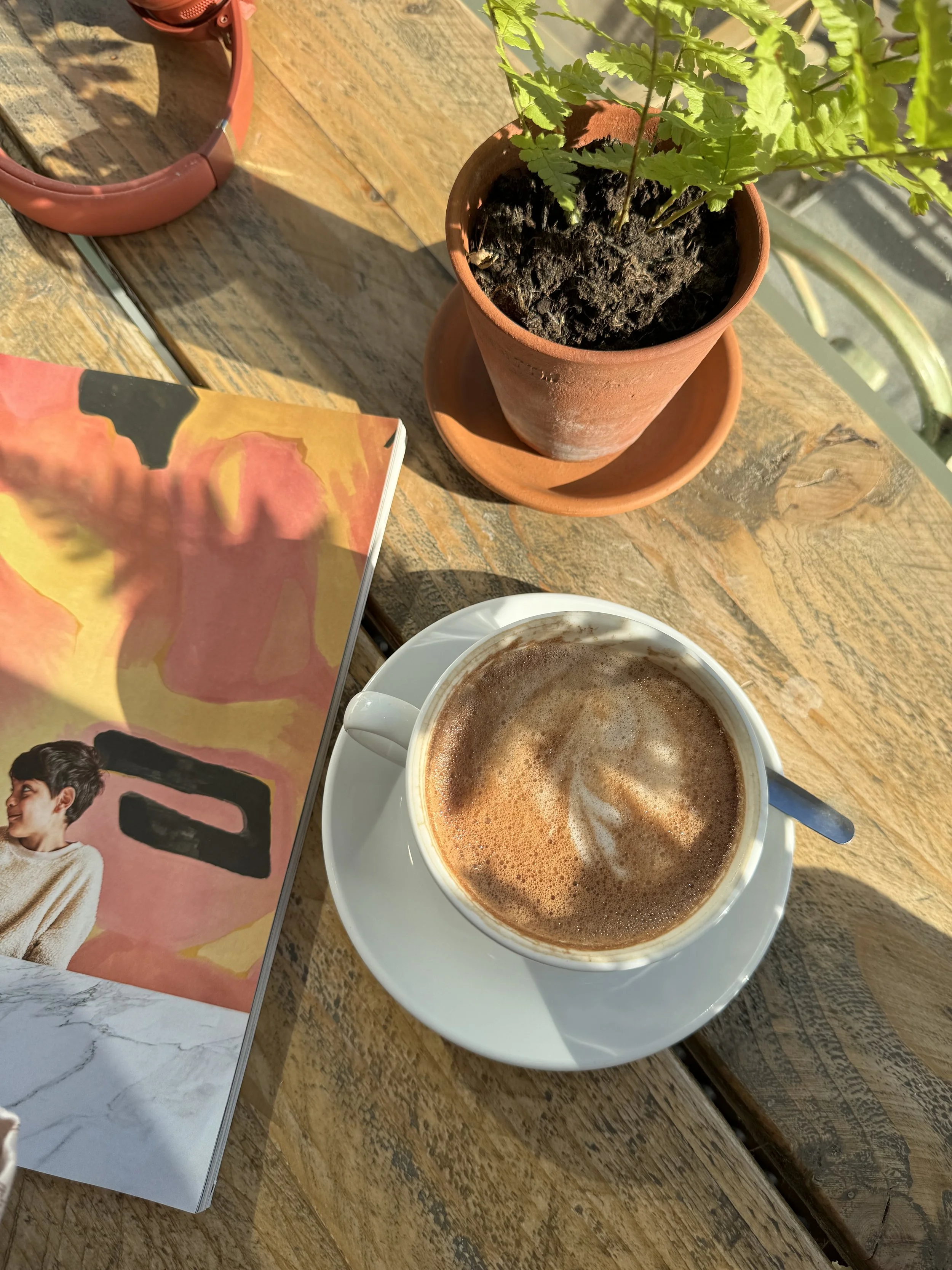 A wooden table with a cup of hot chocolate, a potted plant, and a colorful magazine or book.