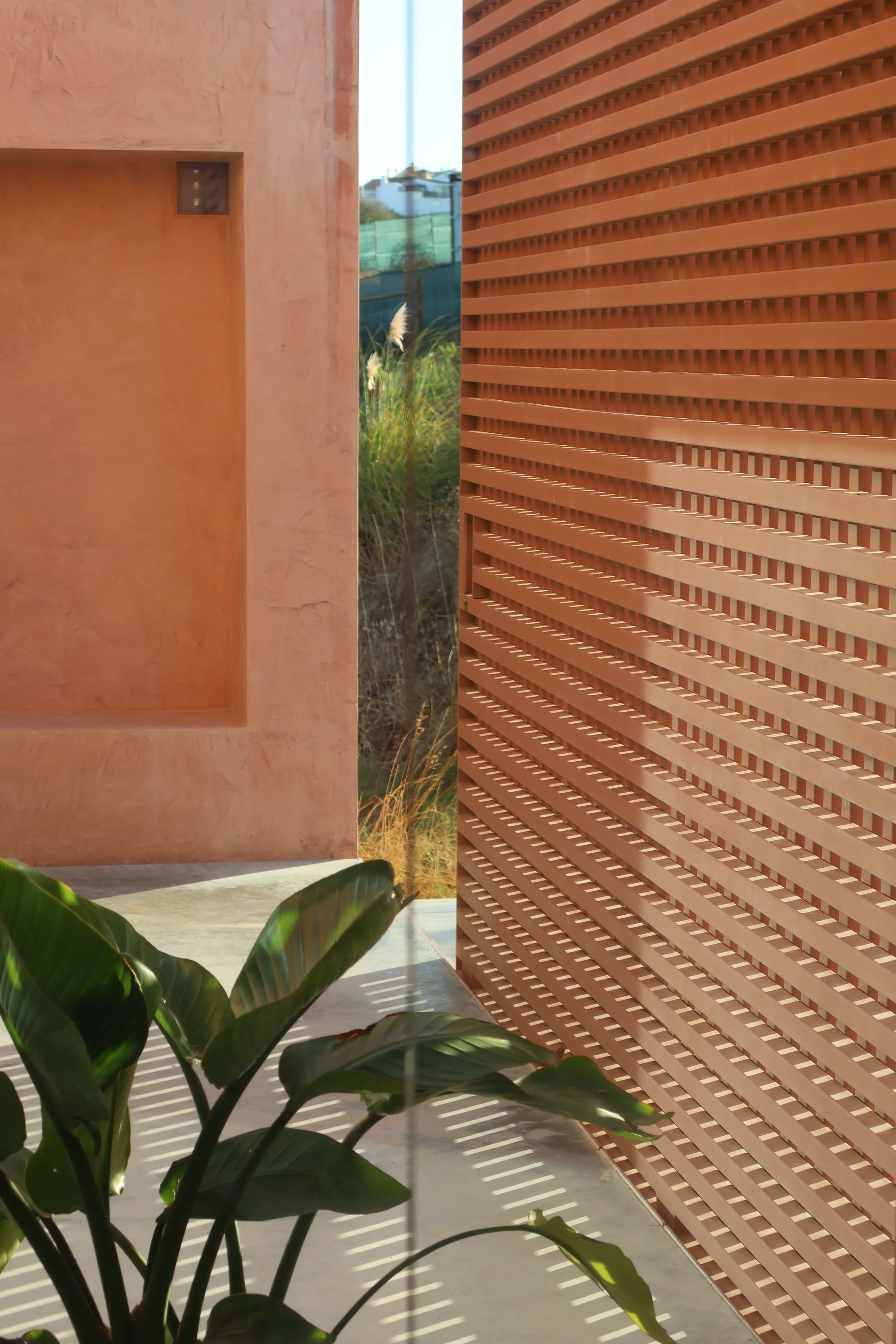 A modern outdoor area with a large, leafy green plant in the foreground, casting patterned shadows on the ground. To the right, there is a slatted wooden wall, and in the background, a pinkish stucco wall and some tall grasses are visible.
