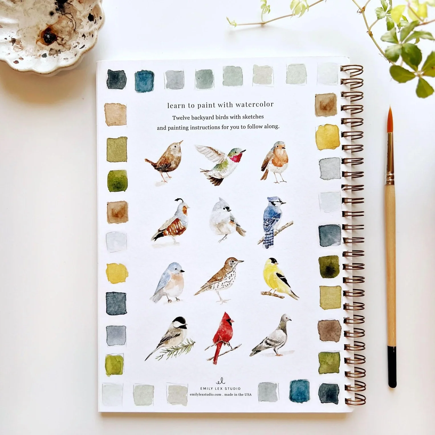 birds 2.webp