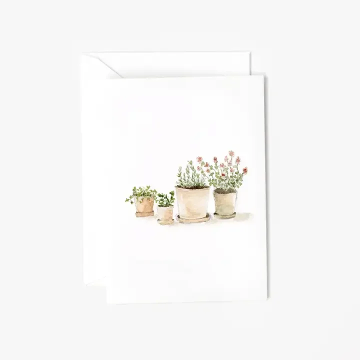 herbs.webp