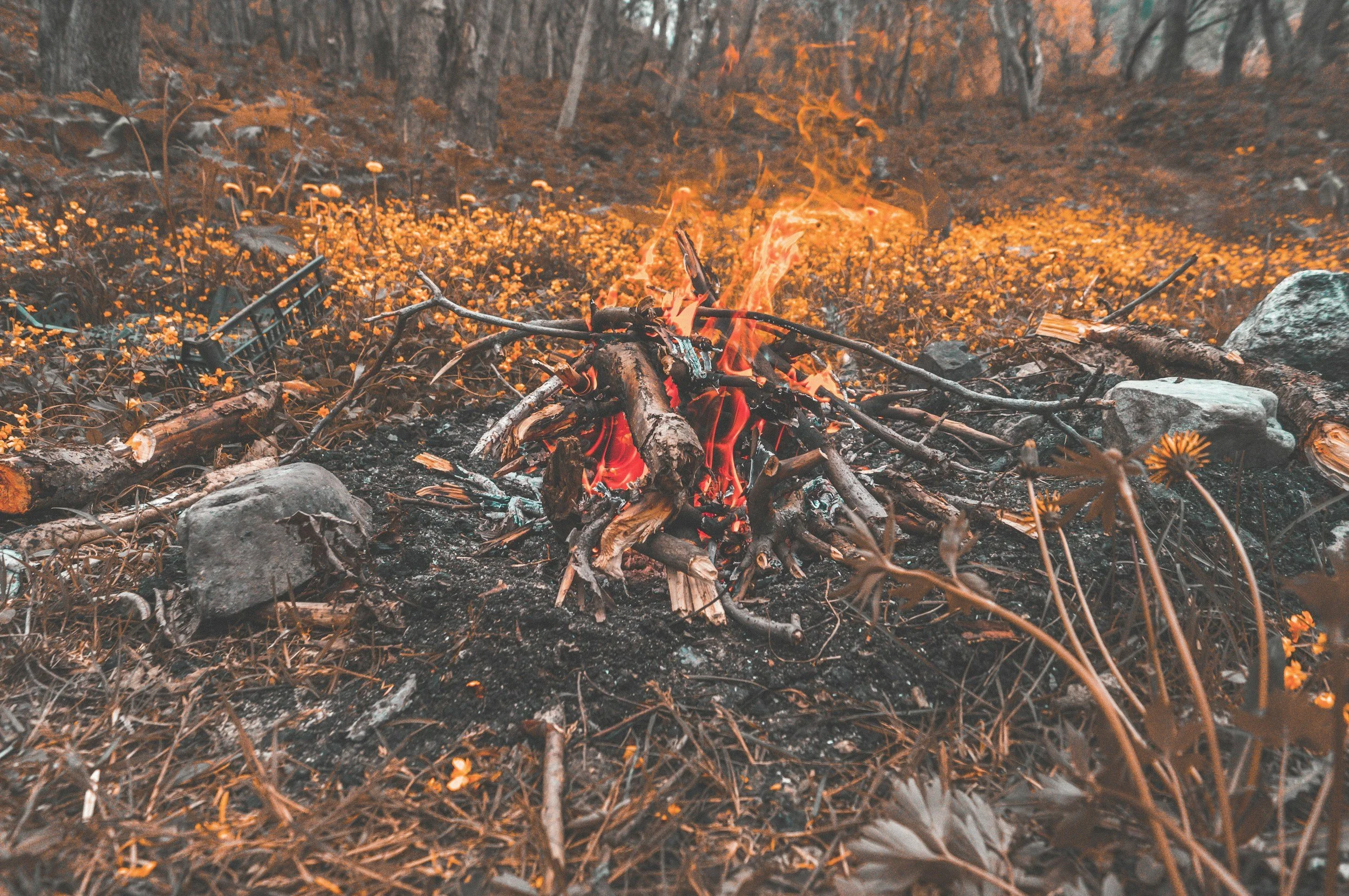 Wildfire Prevention 101: Essential Tips to Prevent Human-Caused Fires