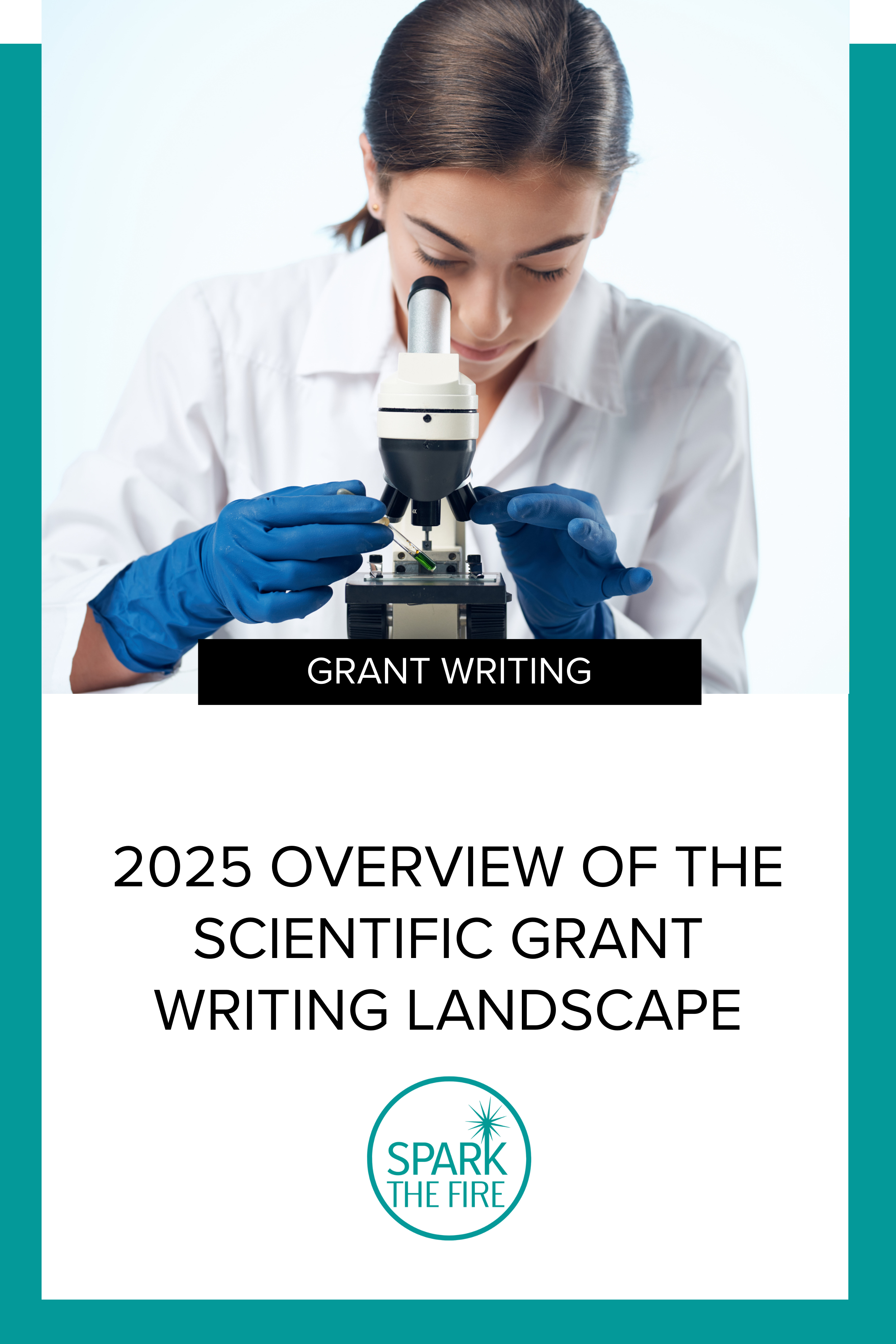 2025 Overview of the Scientific Grant Writing Landscape