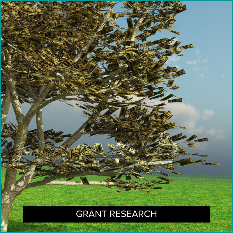 Best Grant Prospect Research Databases of 2026