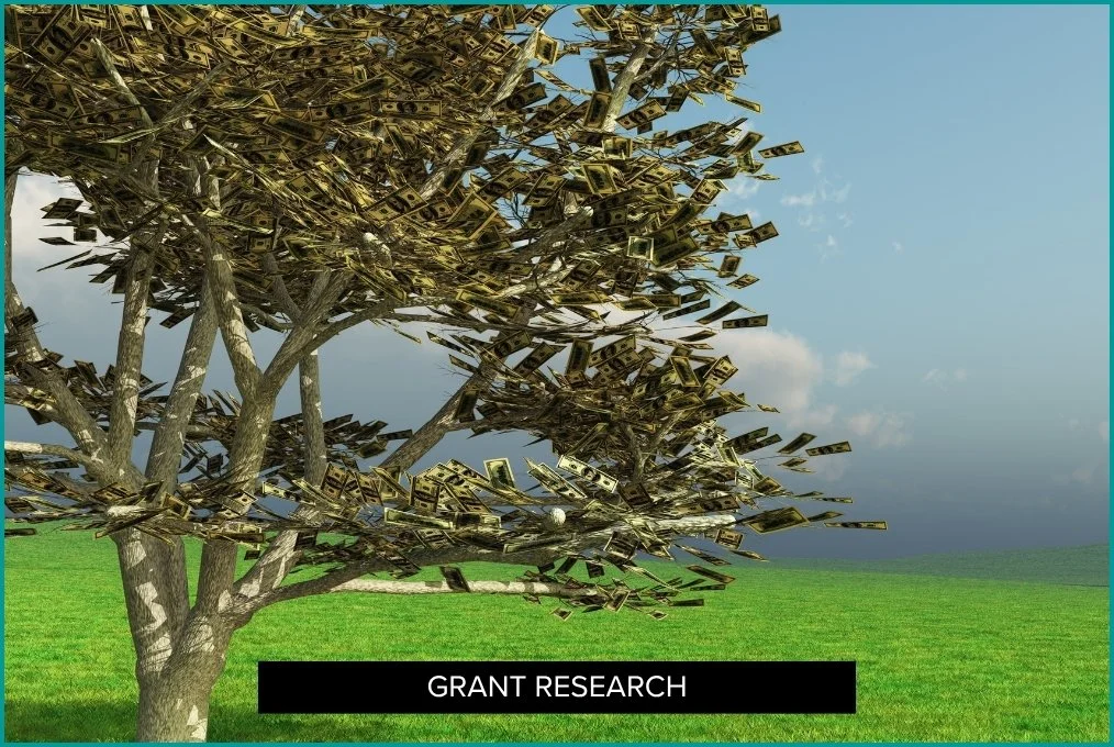 Best Grant Prospect Research Databases of 2026