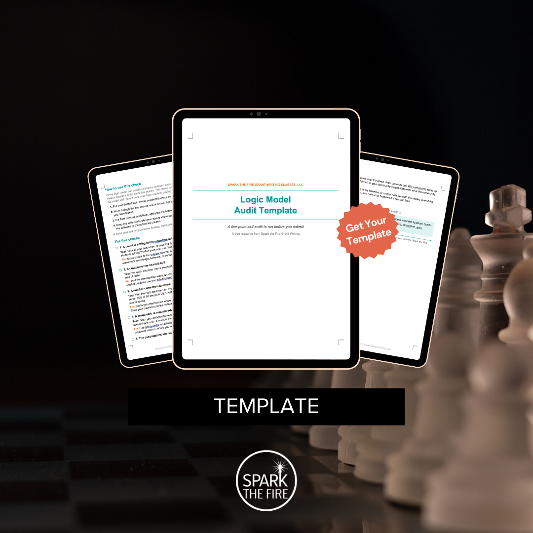 Logic Model Audit Template