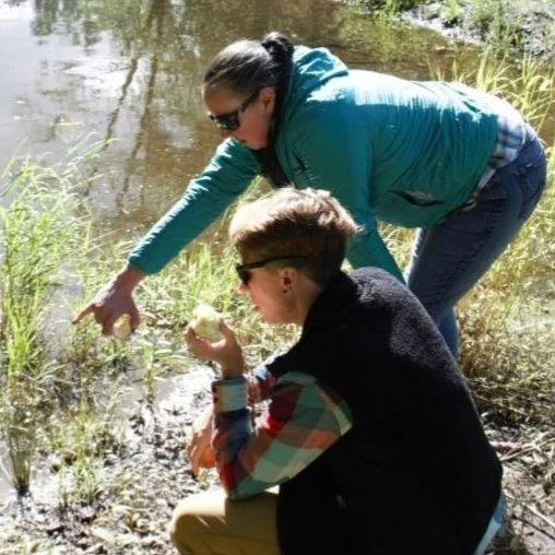 Grant writer and biologist studying river