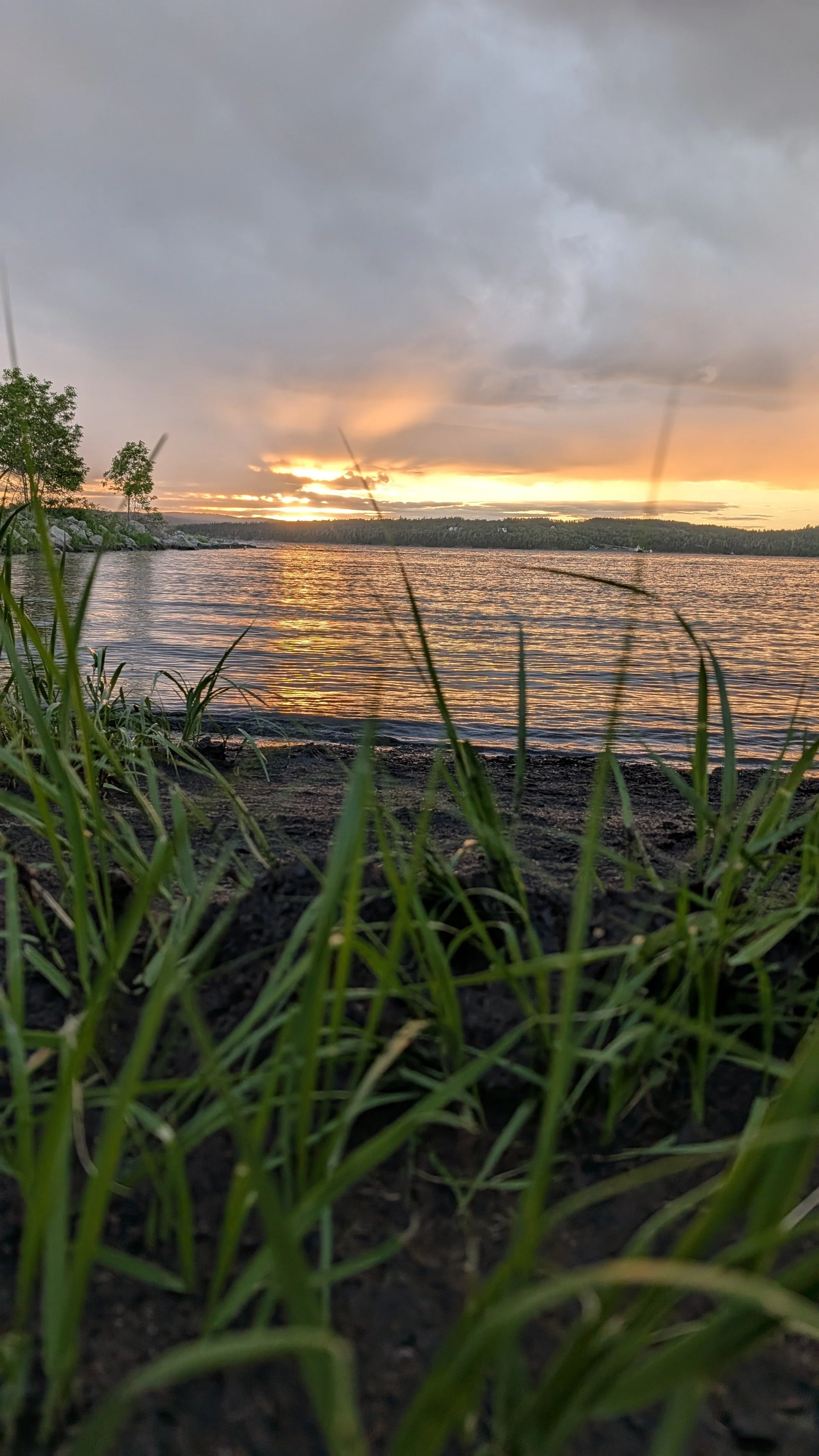 PXL_20260619_235547739.jpg