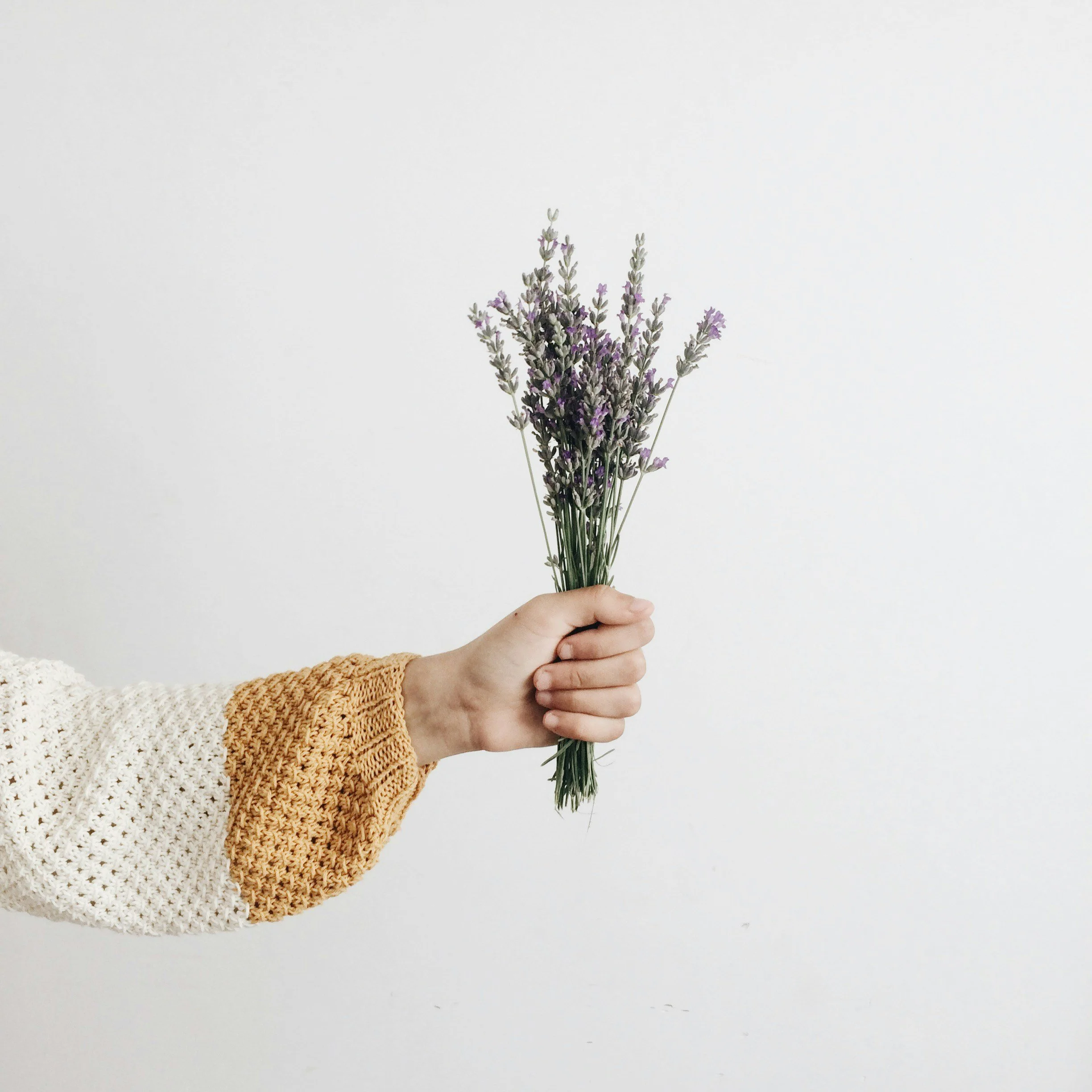 Lavender Oil Capsules: A Proven, Research-Backed Herbal Option for Anxiety