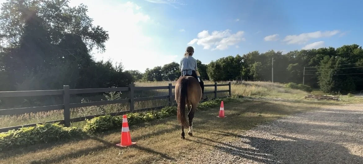 LM riding cones.jpg
