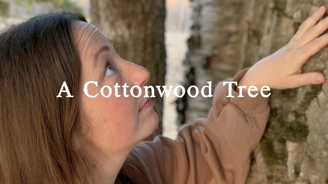 A Cottonwood Tree, Amethyst &amp; the Ancestors of the Land