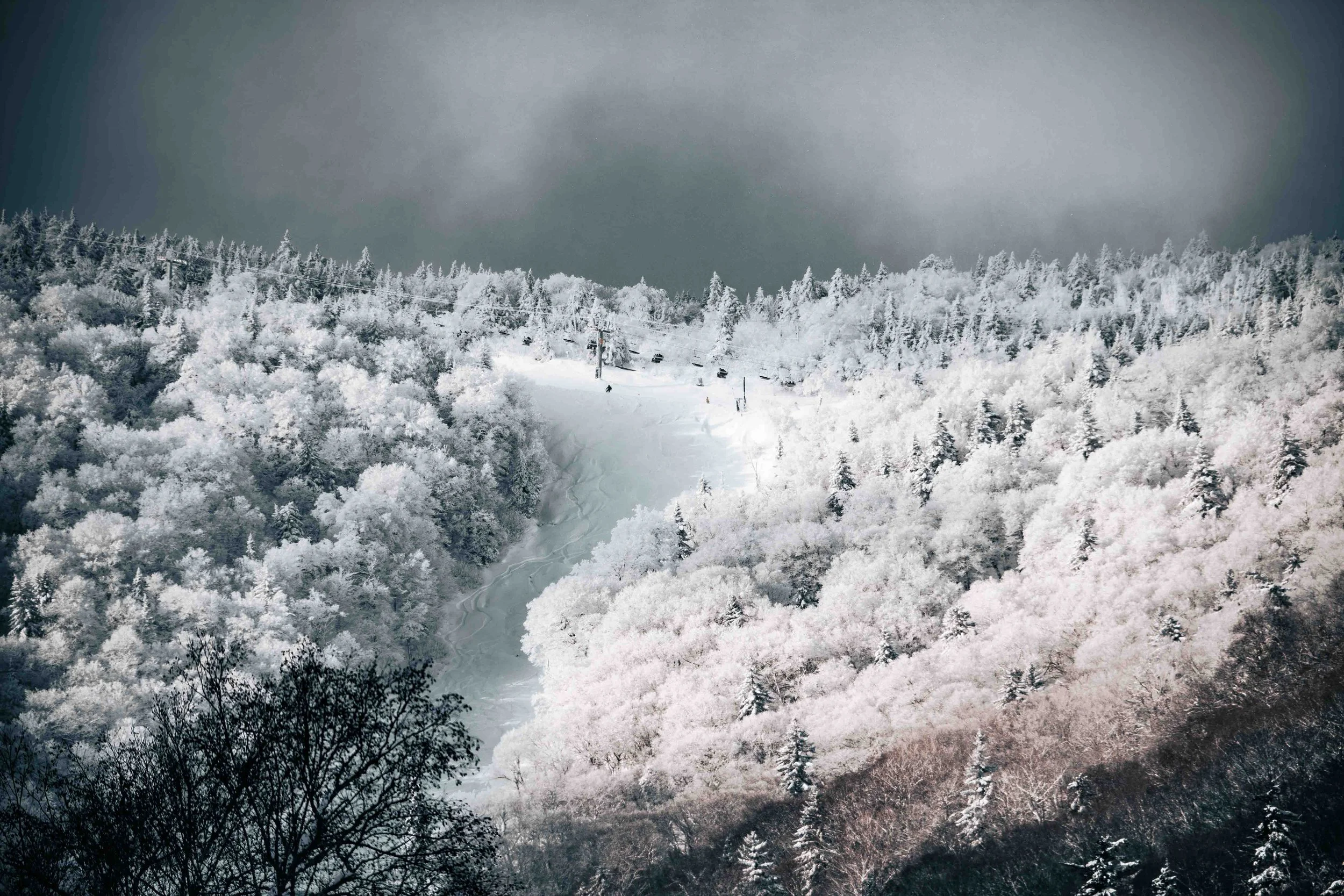Snow-covered mountain with dense forest and ski lift in the distance.