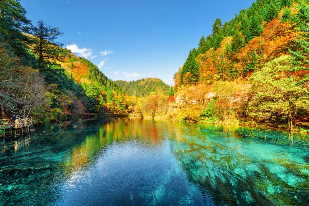 fall colors by lake.jpg