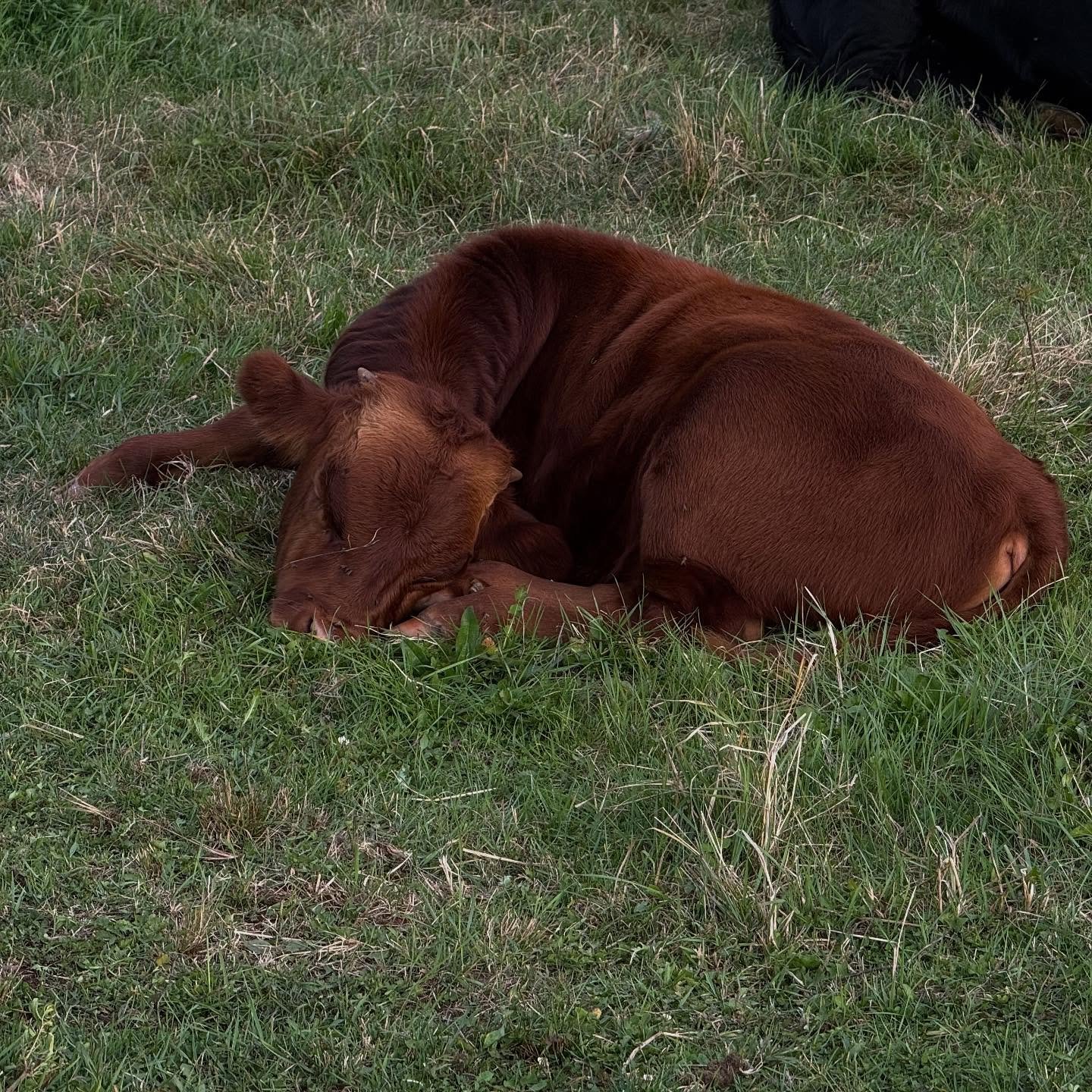 ~ October Community Happenings ~ 

Now offering TWO bodywork pop ups, in Falmouth, Maine: 

October 12 and 19, 
sessions starting as early as 8am 
and as late as 5pm
60 minute sessions // 100.00

More information is available at the link in my bio (f