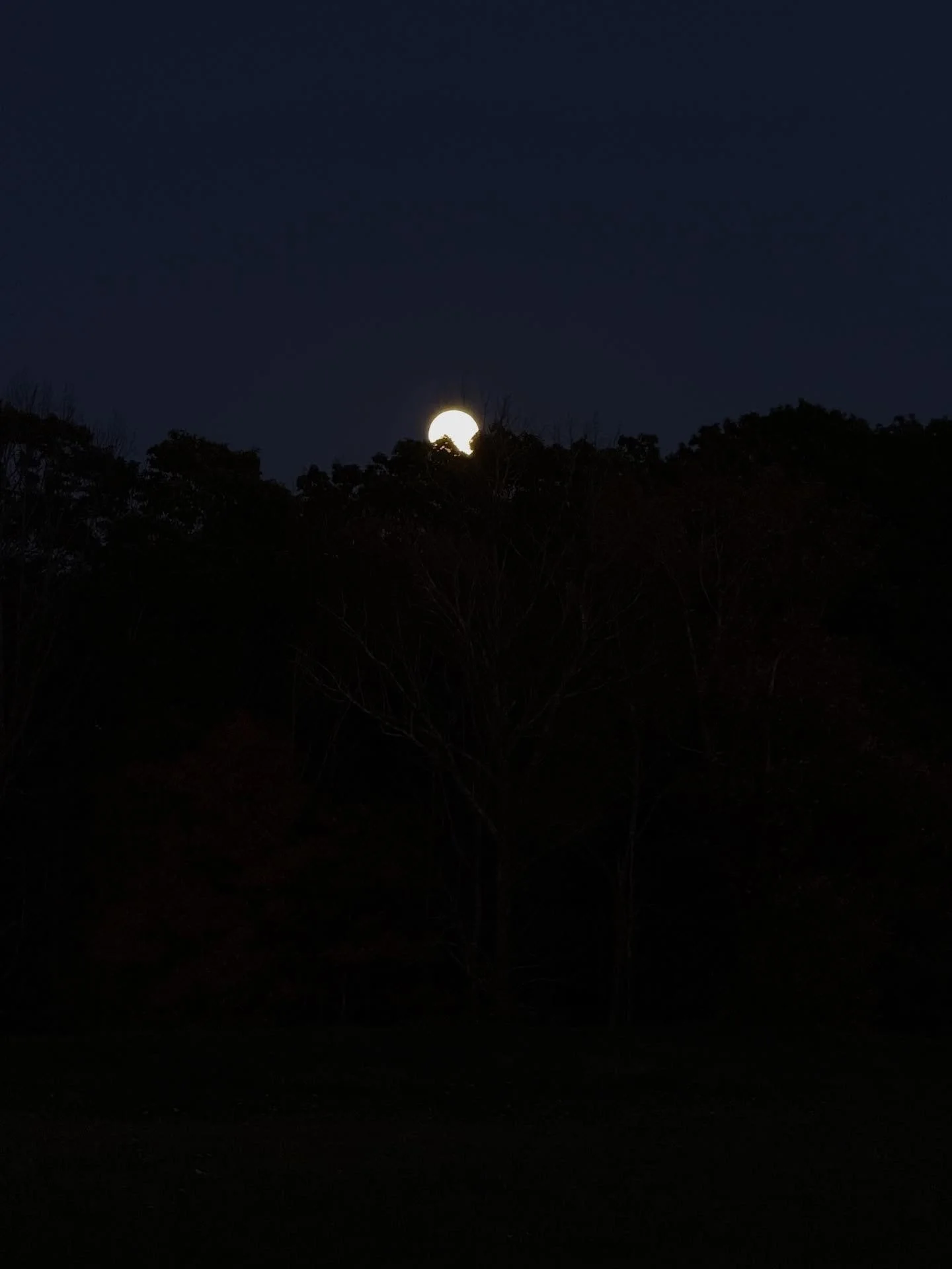Fully charged my table linens under last night&rsquo;s harvest moon 

⚪️

With peace and warmth,
H

_
#bodywork #massagetherapy #fullmoon #harvestmoon #magic