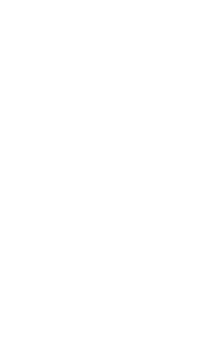 White stylized phoenix silhouette with wings and tail outstretched