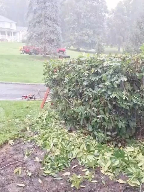 Project Complete | Newtown, CT

Late summer is one of the most important times of the year to refresh your landscape.

These Newtown clients asked us to bring their planting beds back under control with detailed pruning, hand weeding, shaping, edging