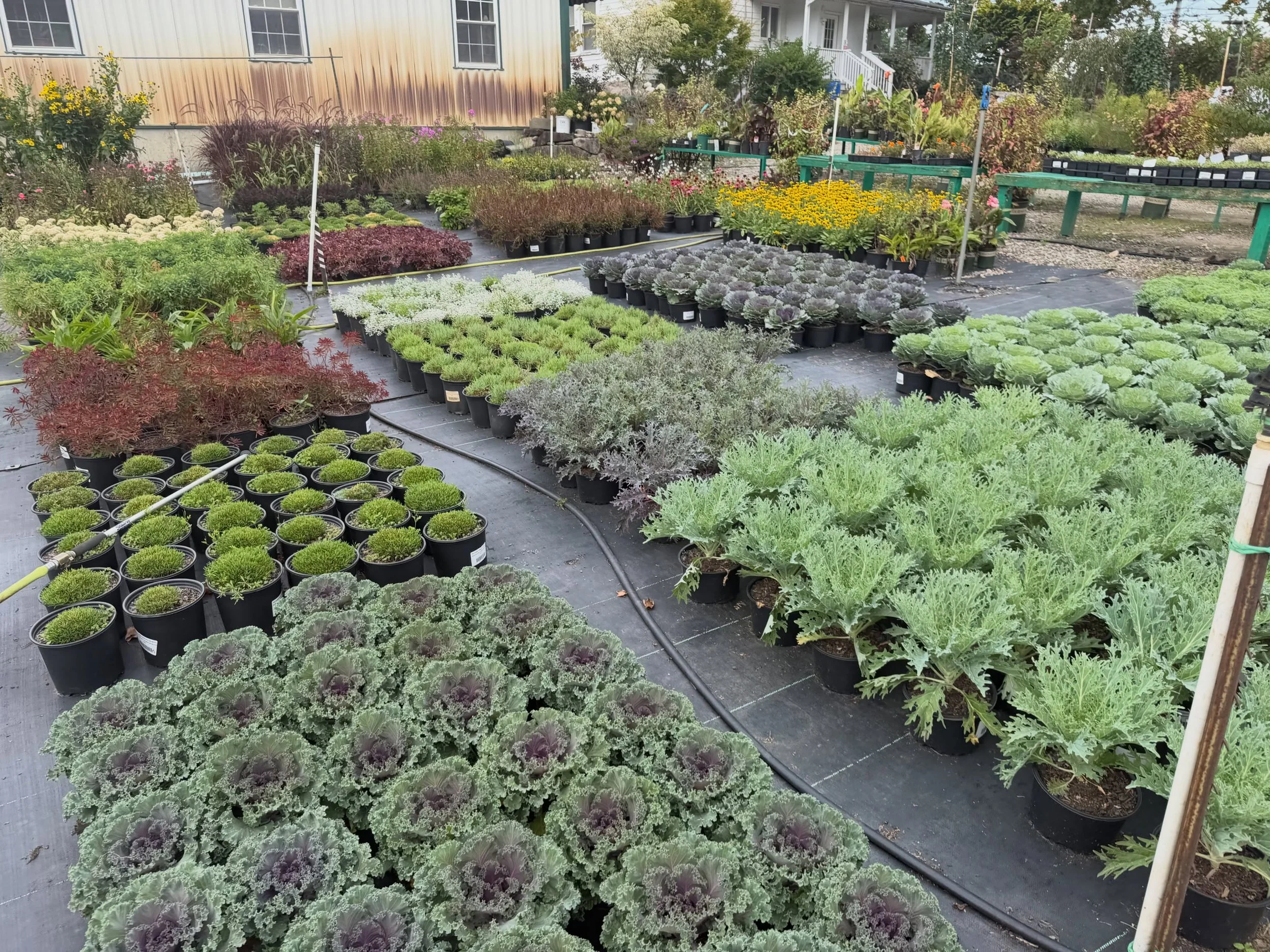 🍂 FALL PLANTING SEASON IS HERE 🍂

Fall projects are ramping up, and this is one of the best times of year to refresh your property and get new plantings established before winter.

Whether you&rsquo;re looking for a simple cleanup or a complete lan