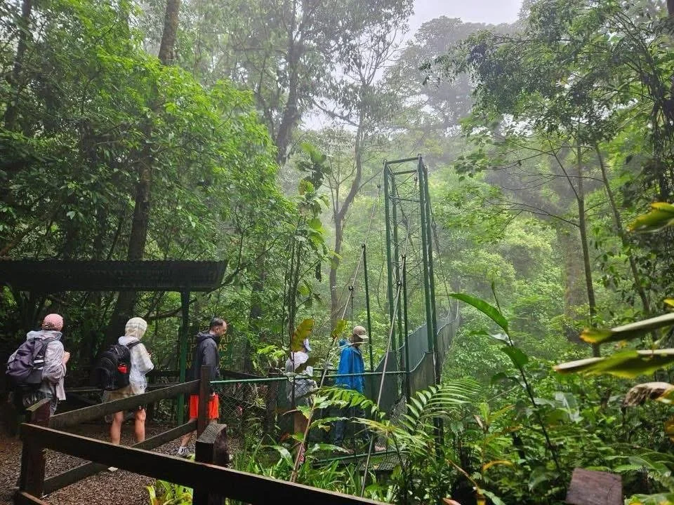 Group of people hiking on a trail in a lush, green rainforest. Liberia Airport Shuttle. Tours in Costa Rica.