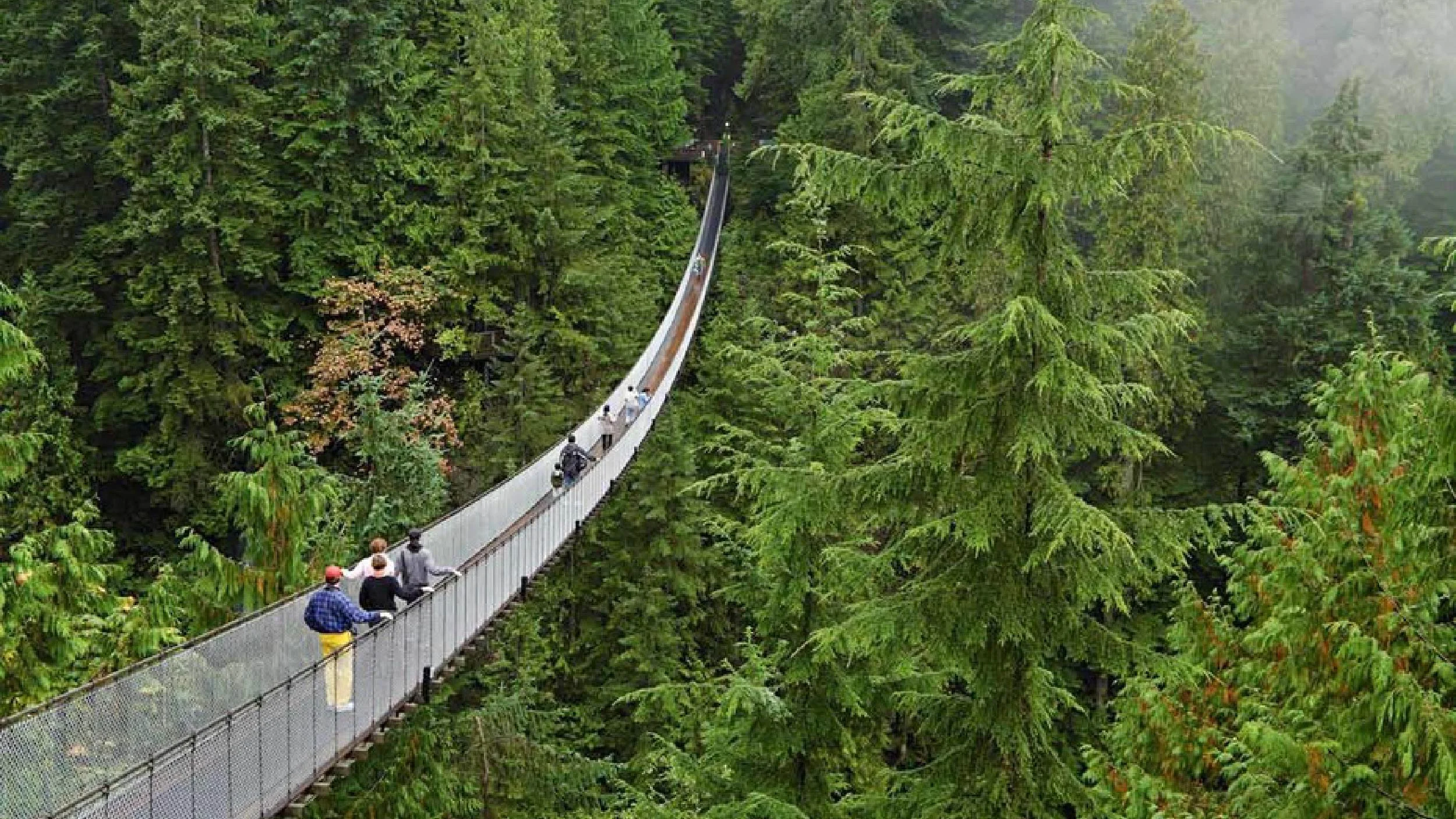 People walking on a long suspension bridge through a dense forest of tall green trees. Liberia Airport Shuttle. Tours in Costa Rica.